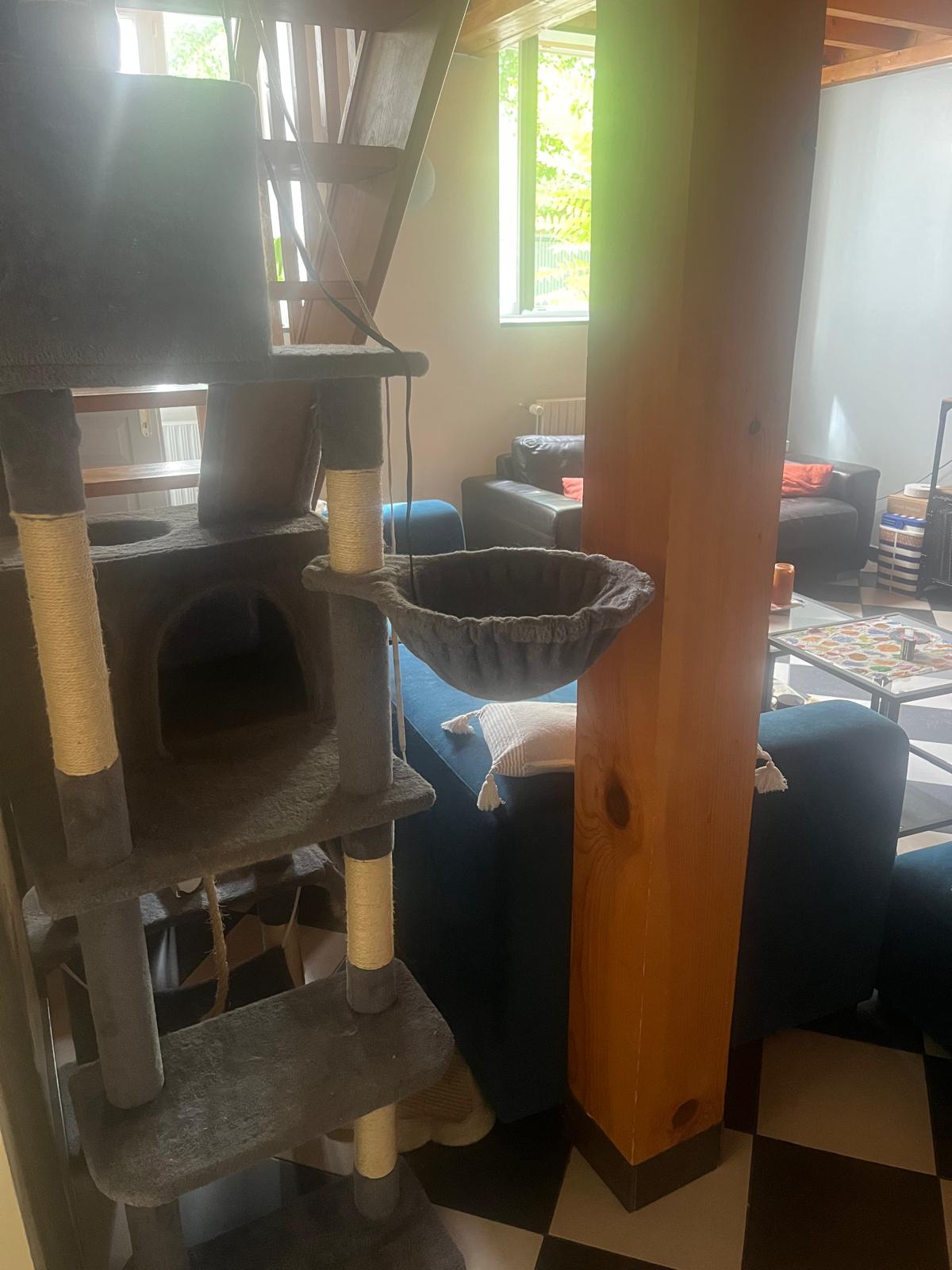 image-9