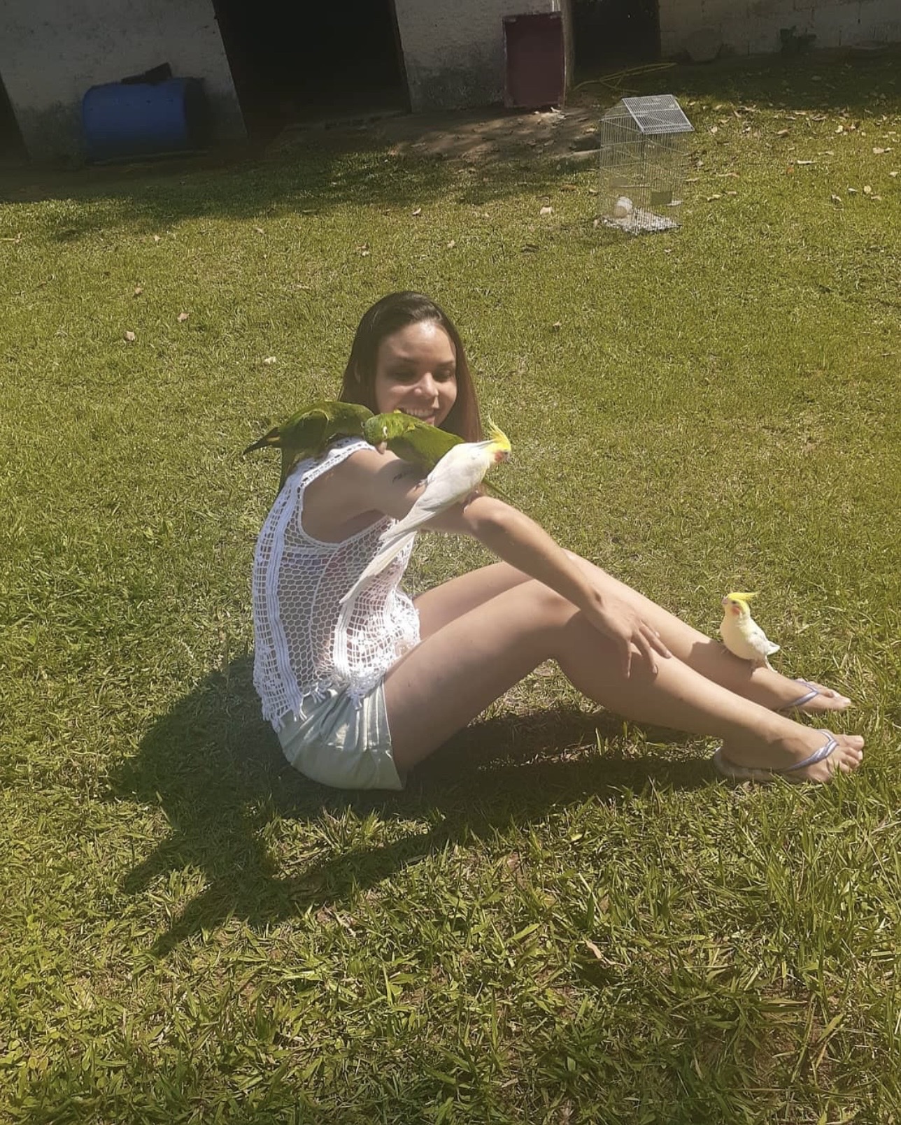 image-3