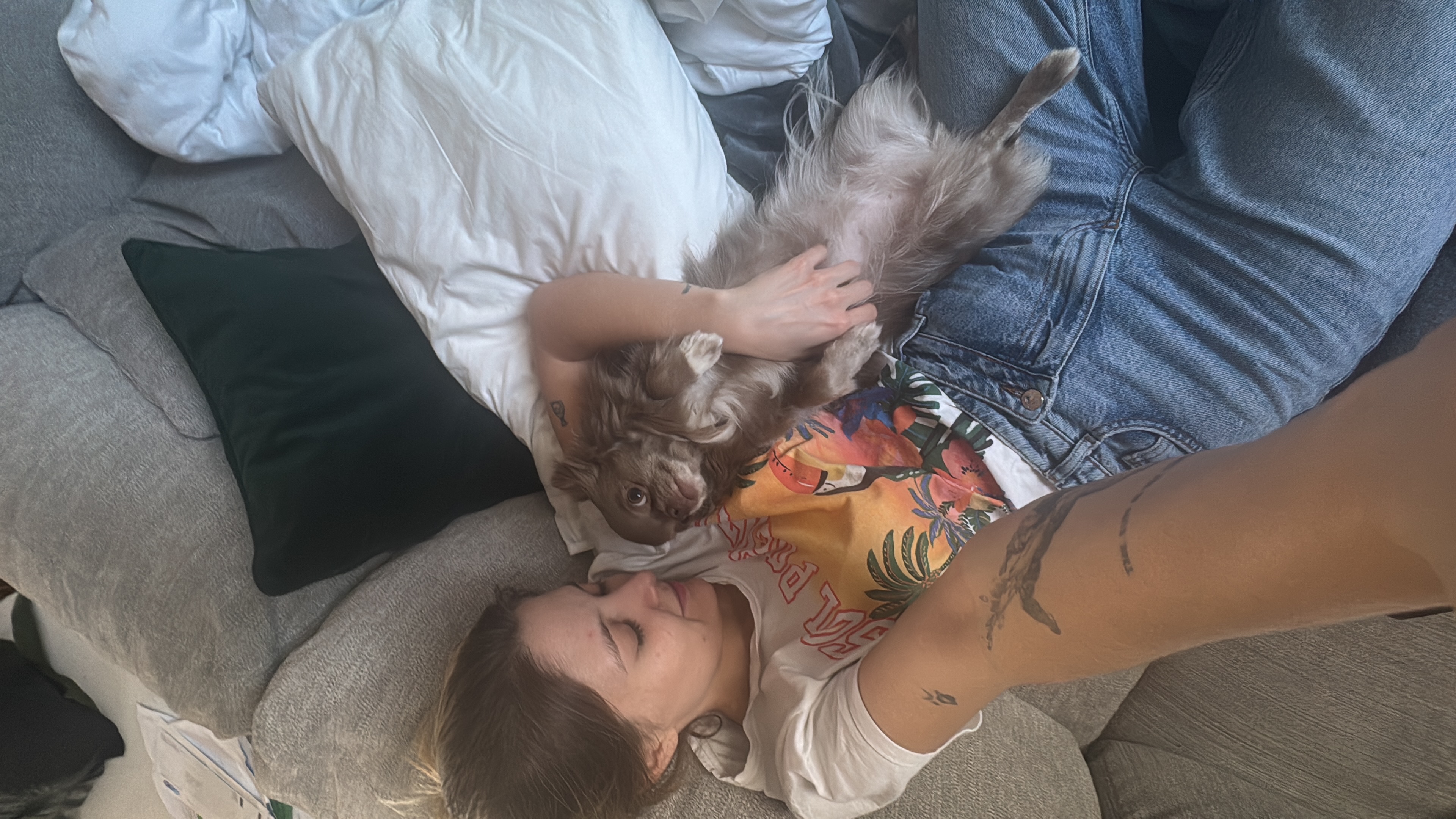 image-7
