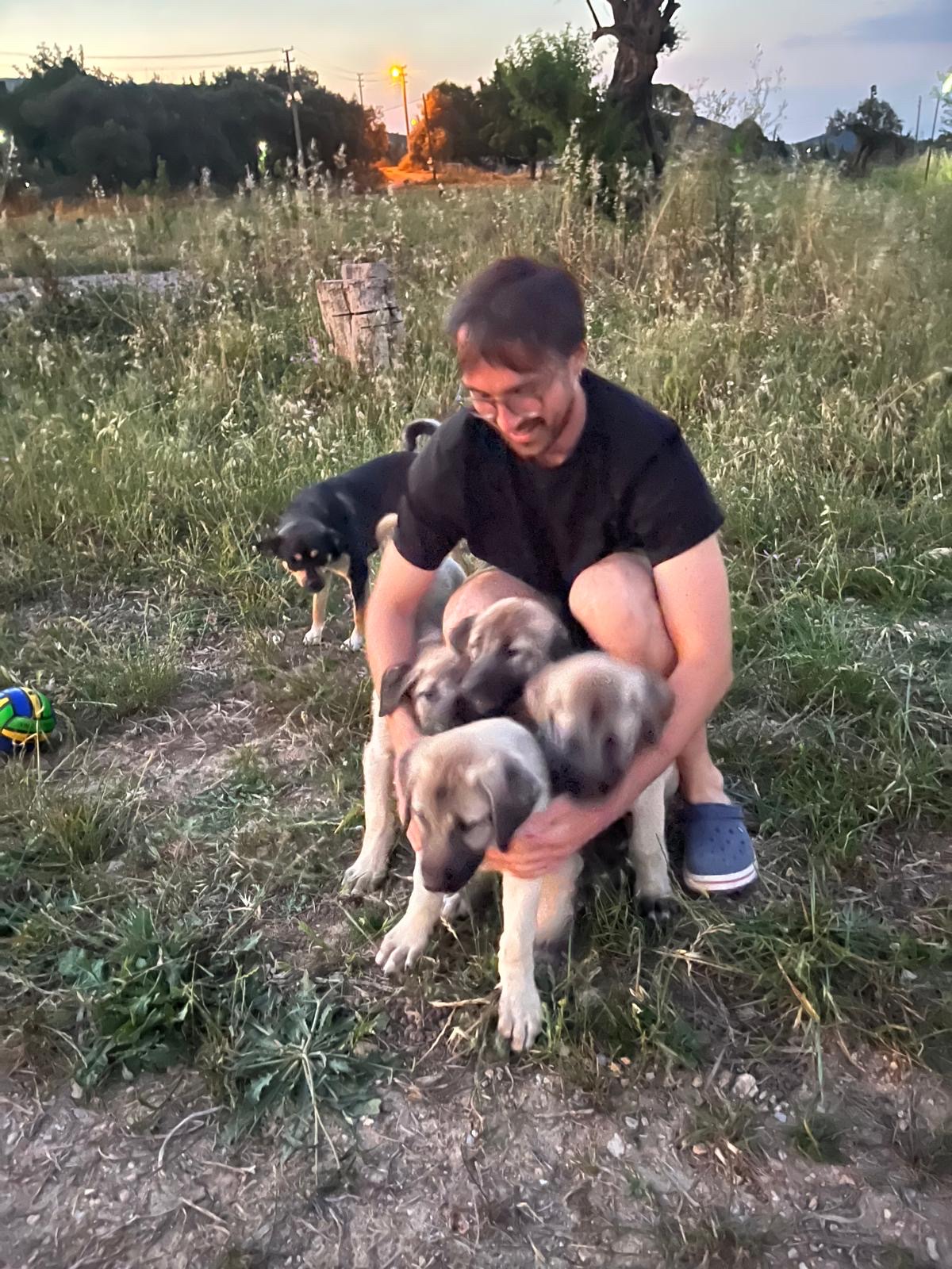 image-7