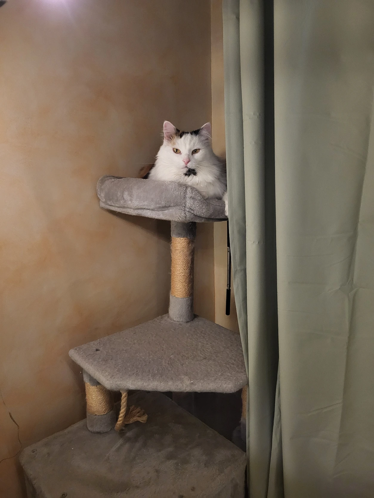 image-6