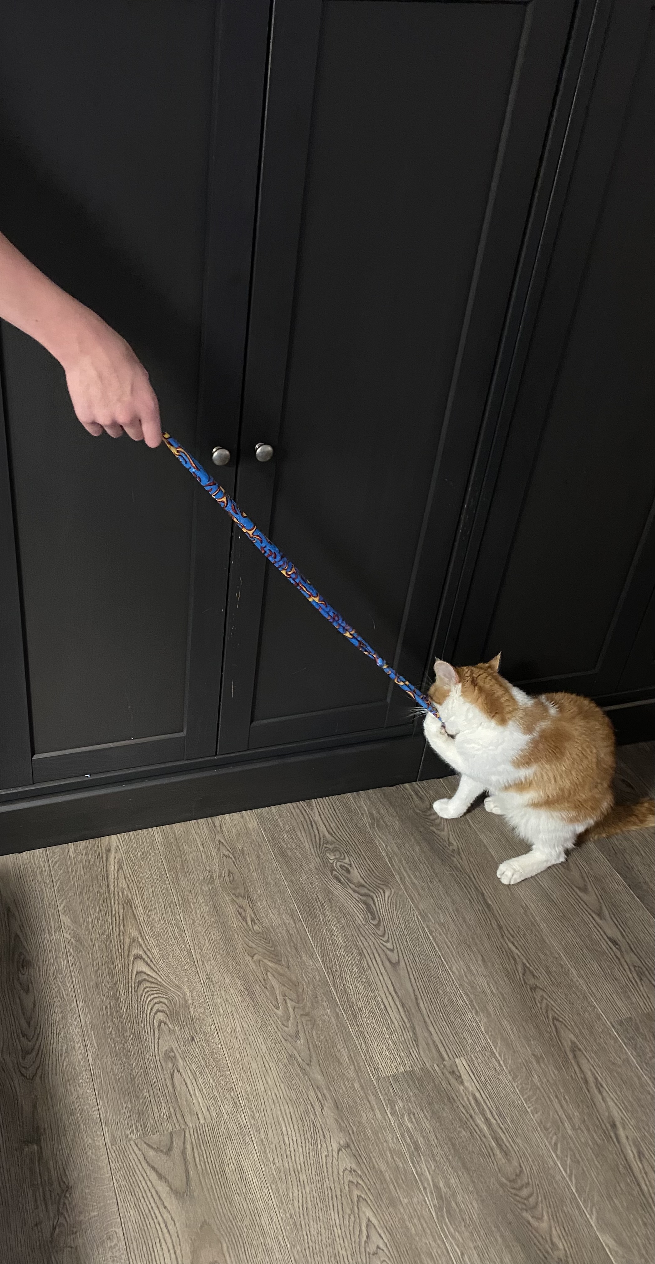 image-6