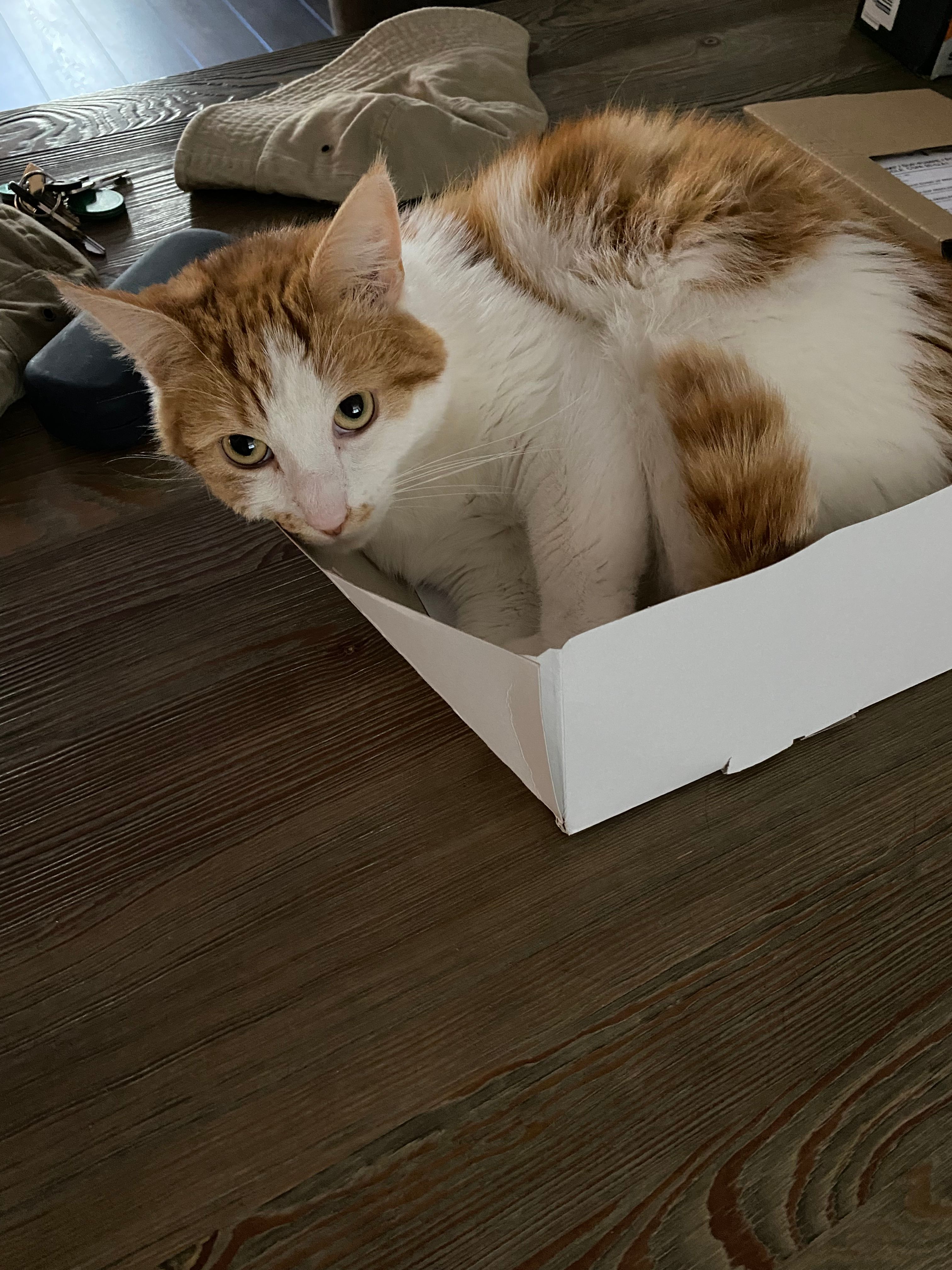 image-15