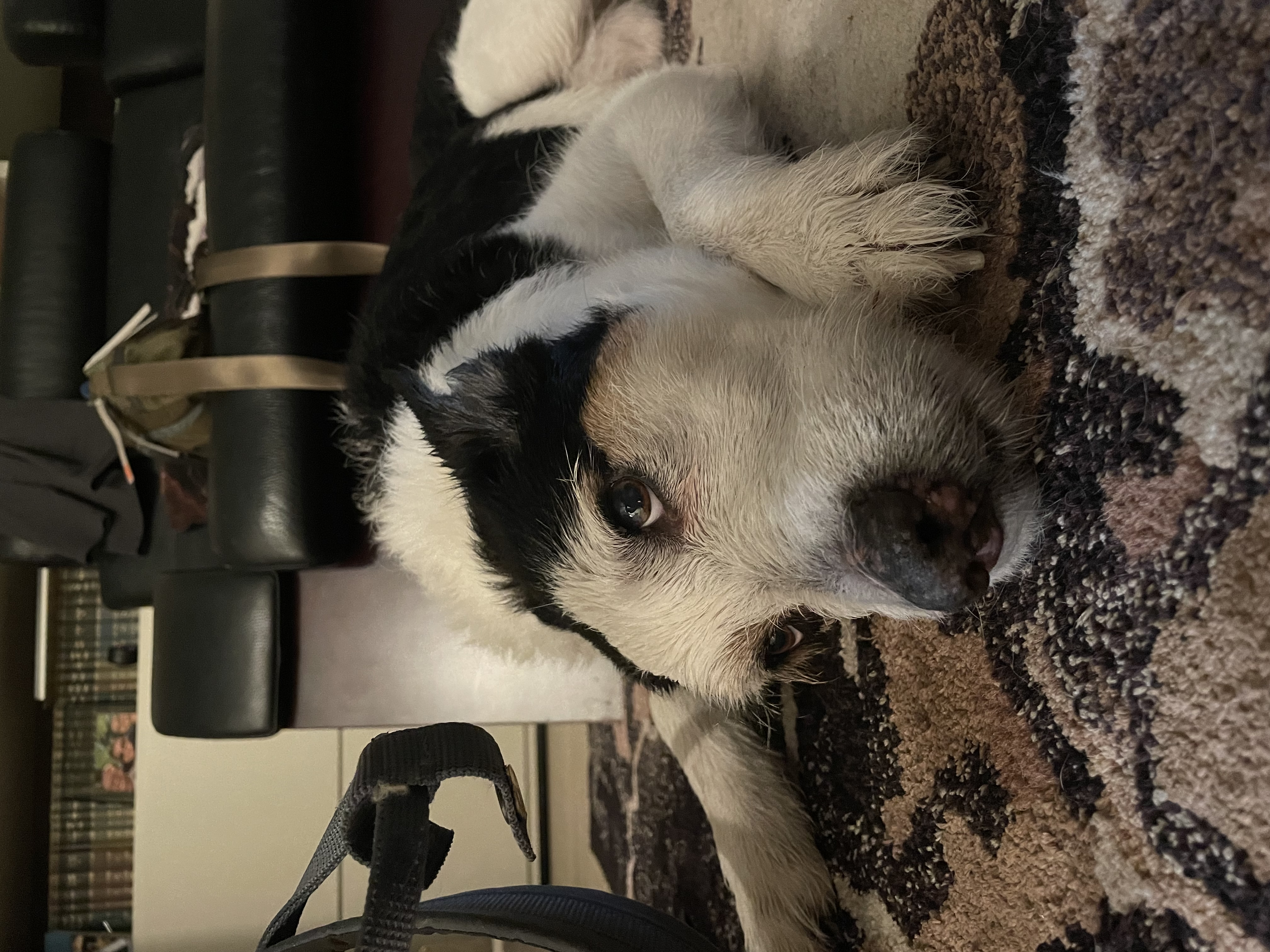 image-11