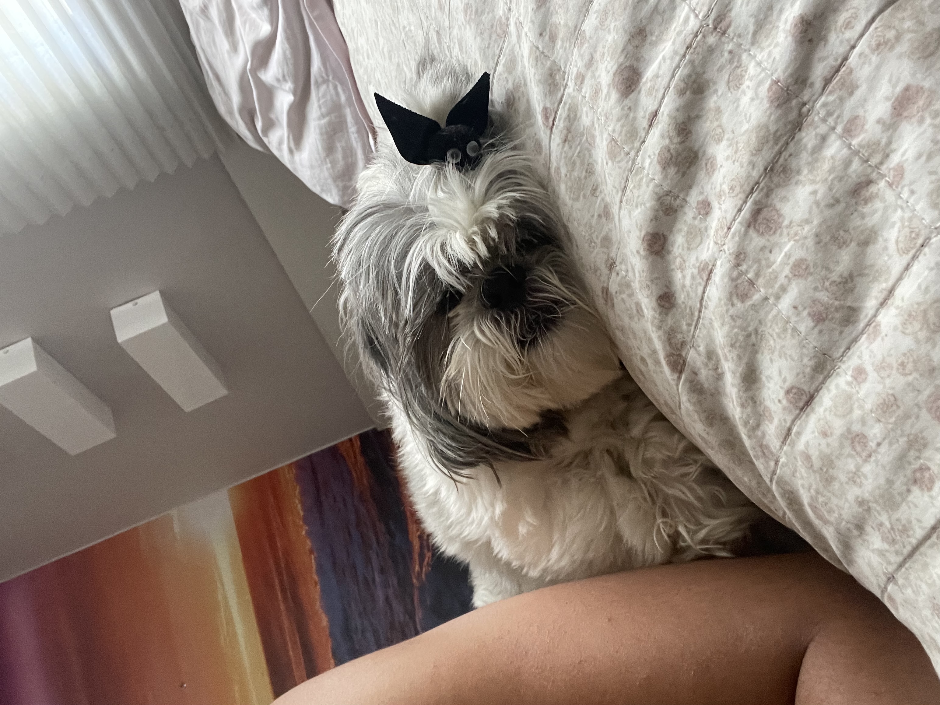 image-8