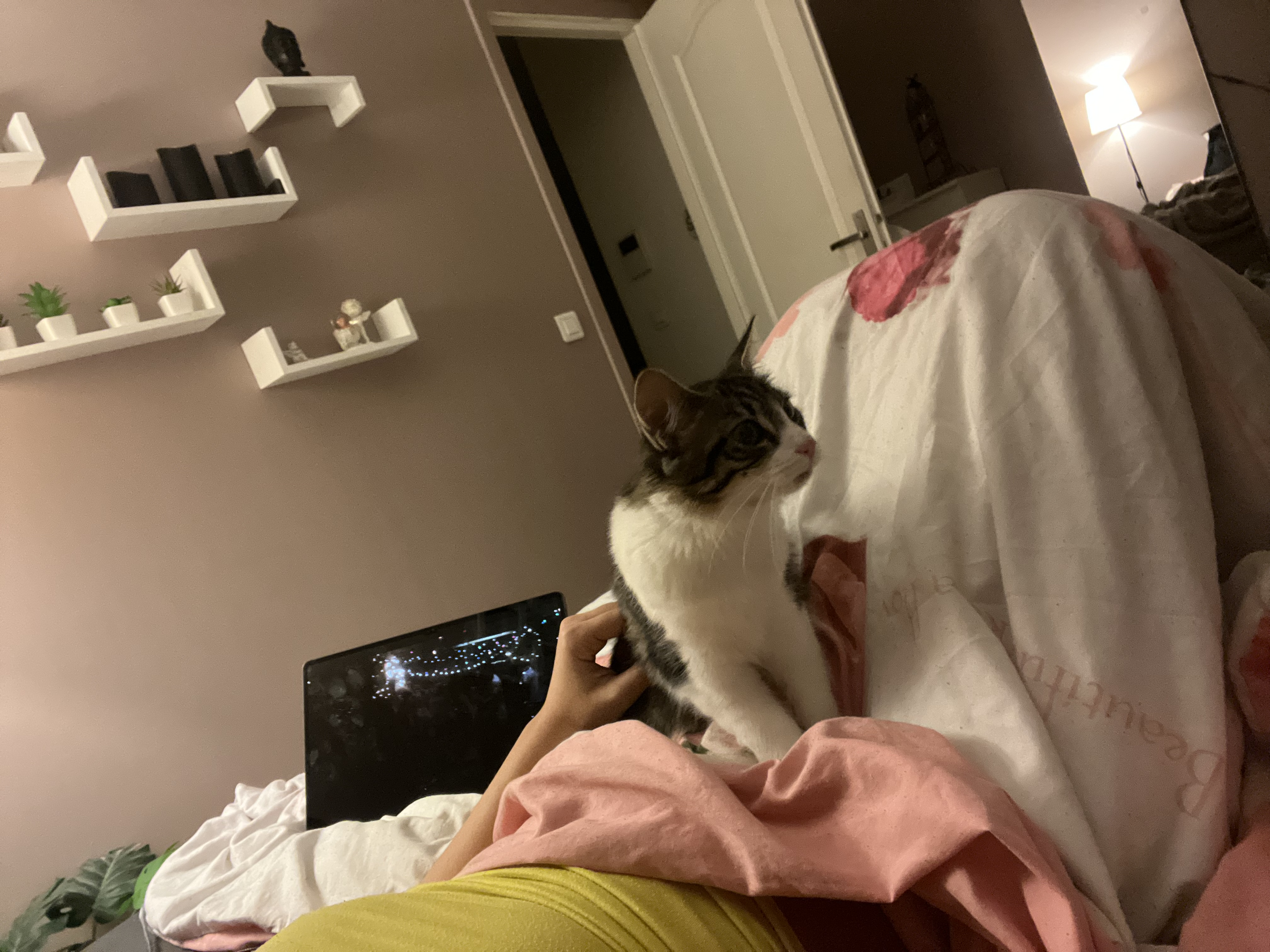image-6