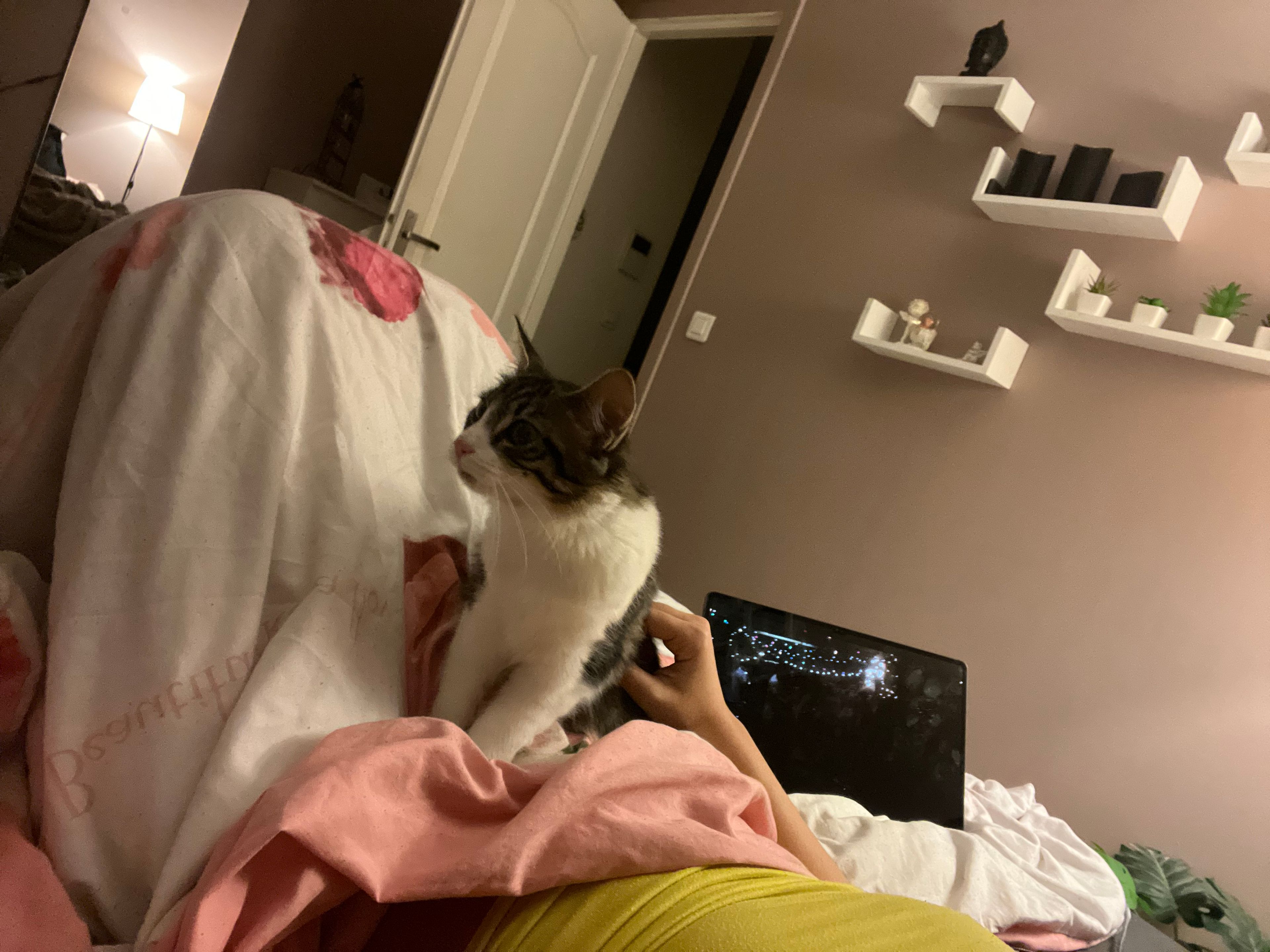 image-6