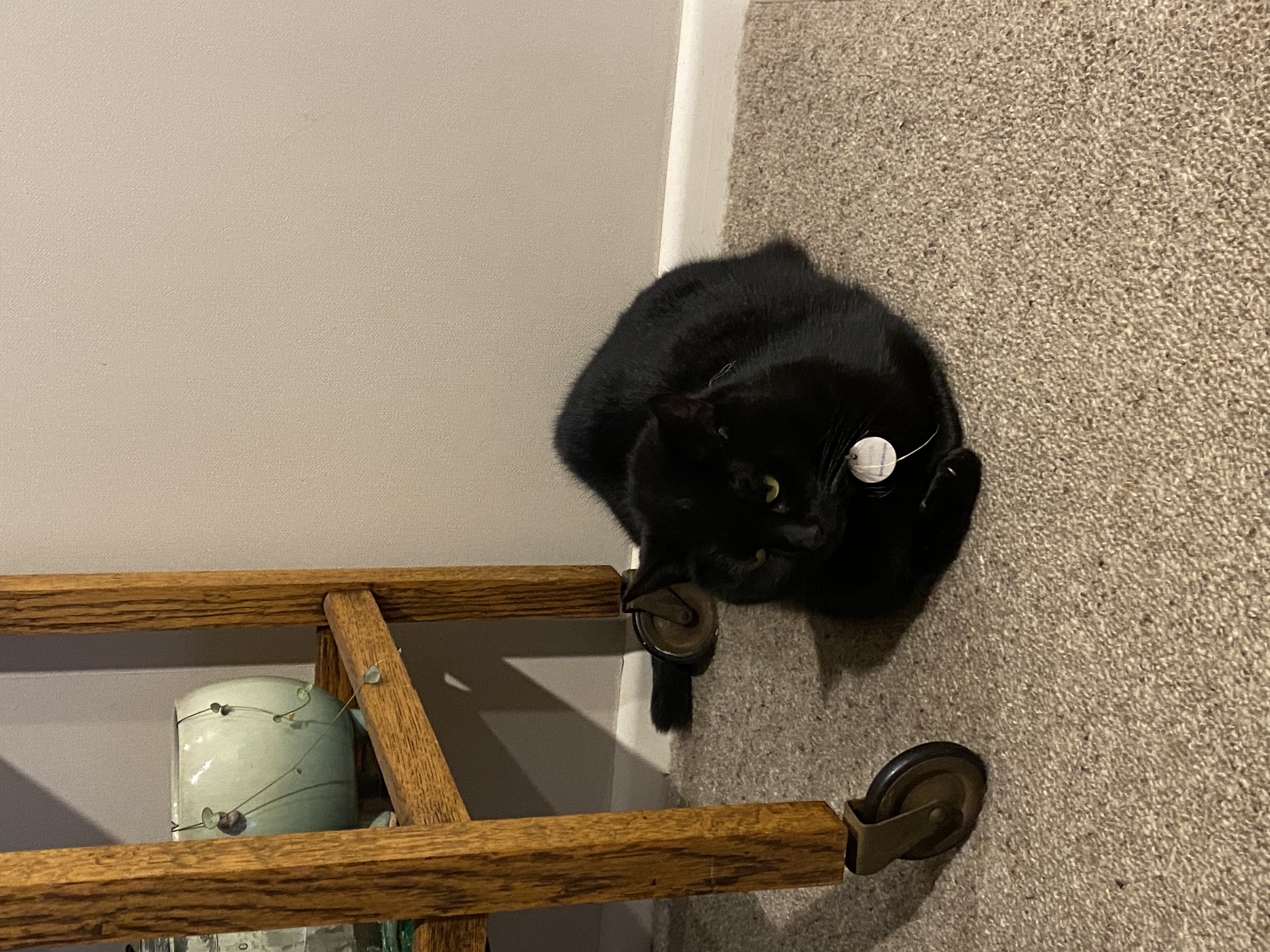image-18