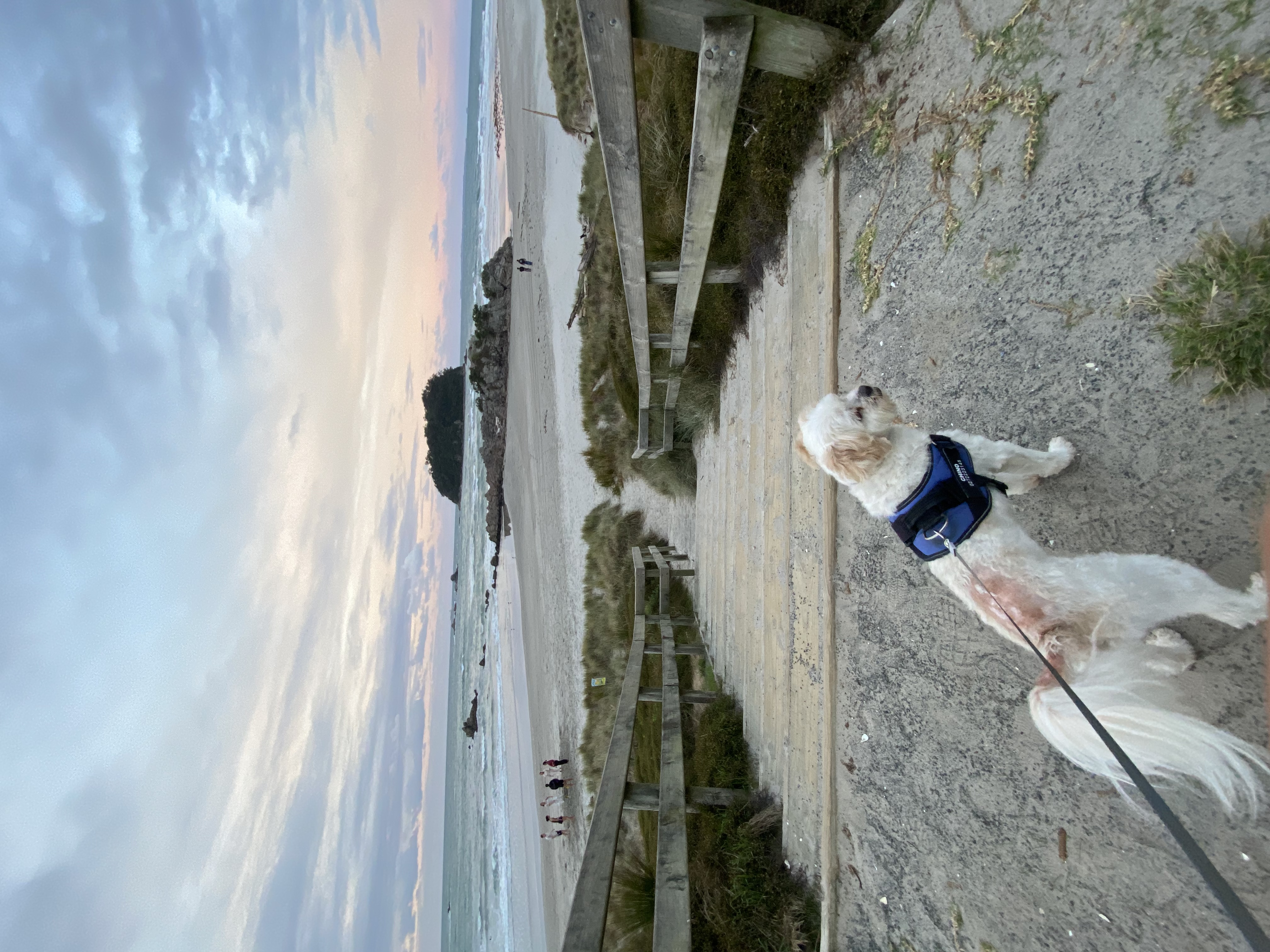 image-10