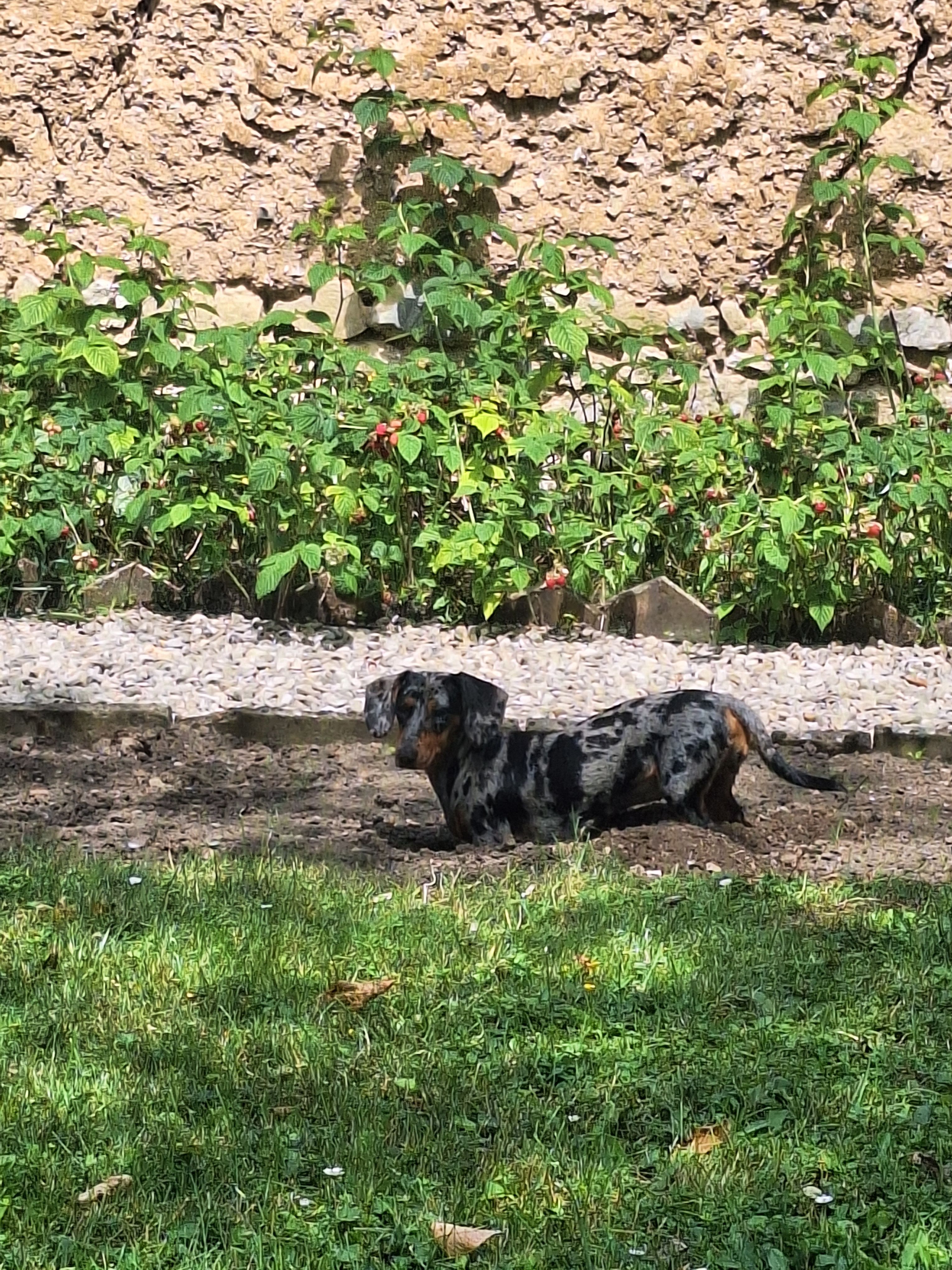 image-7