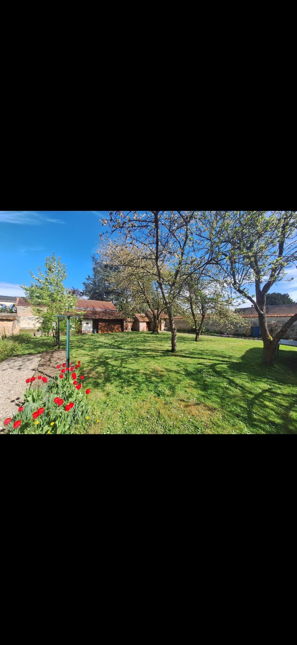 image-17