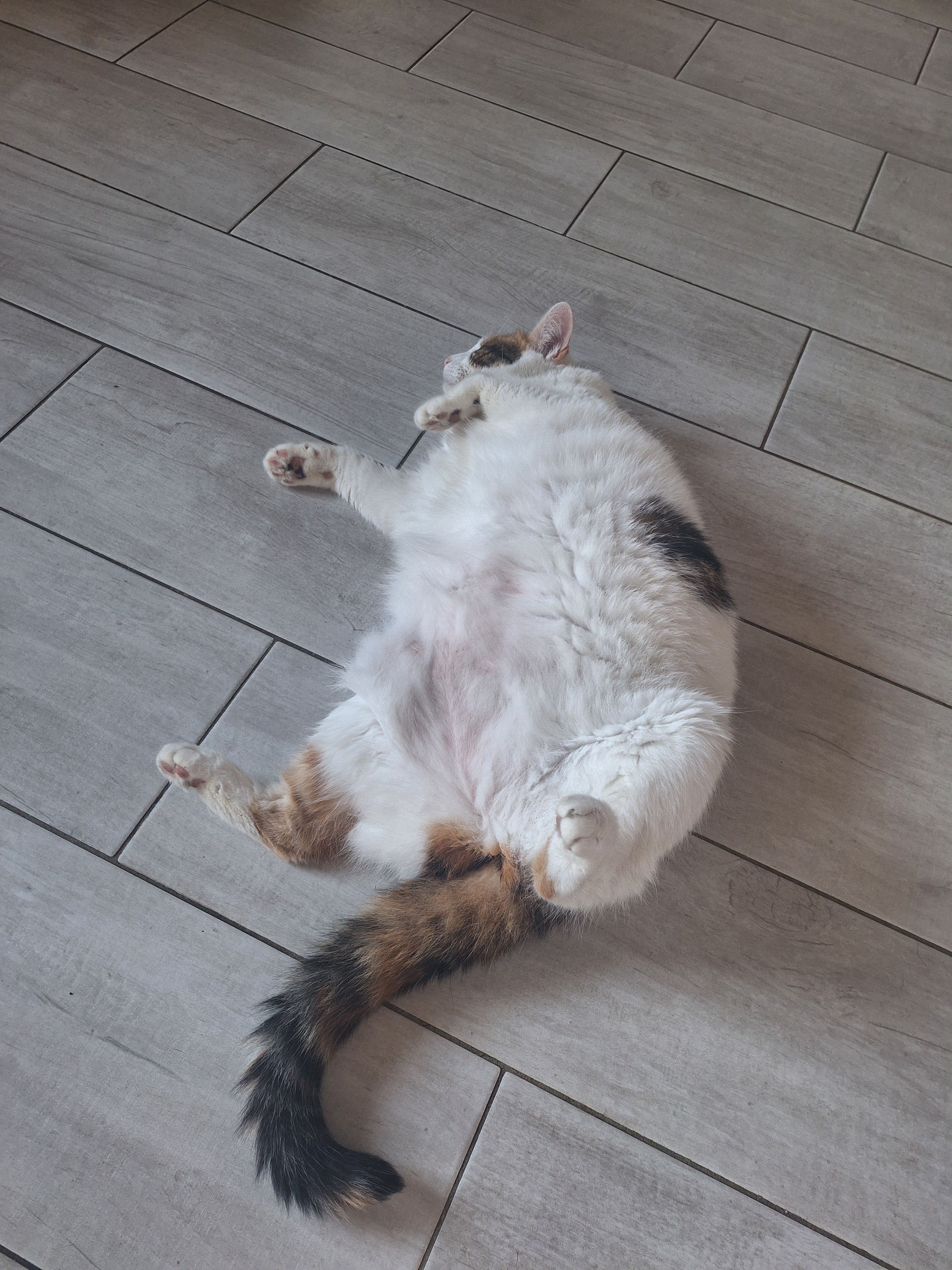 image-11