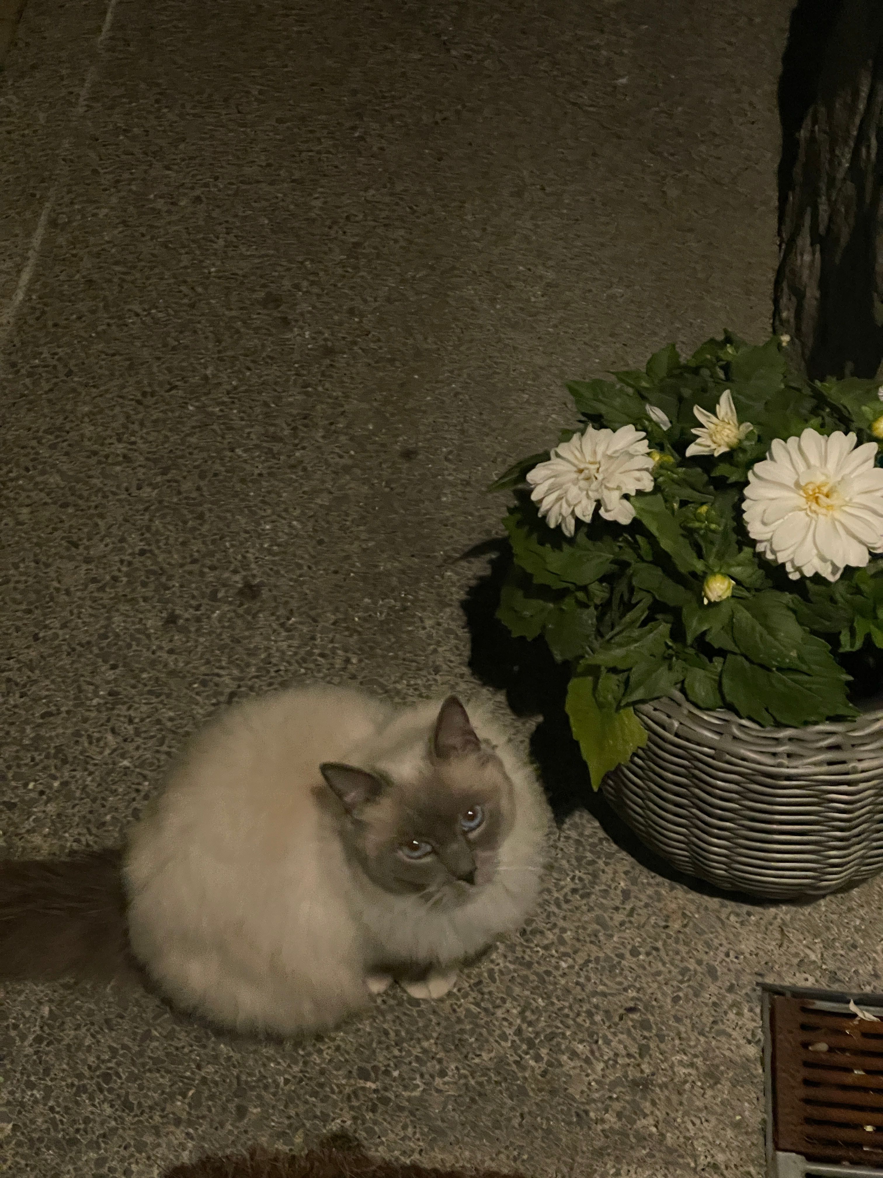 image-16