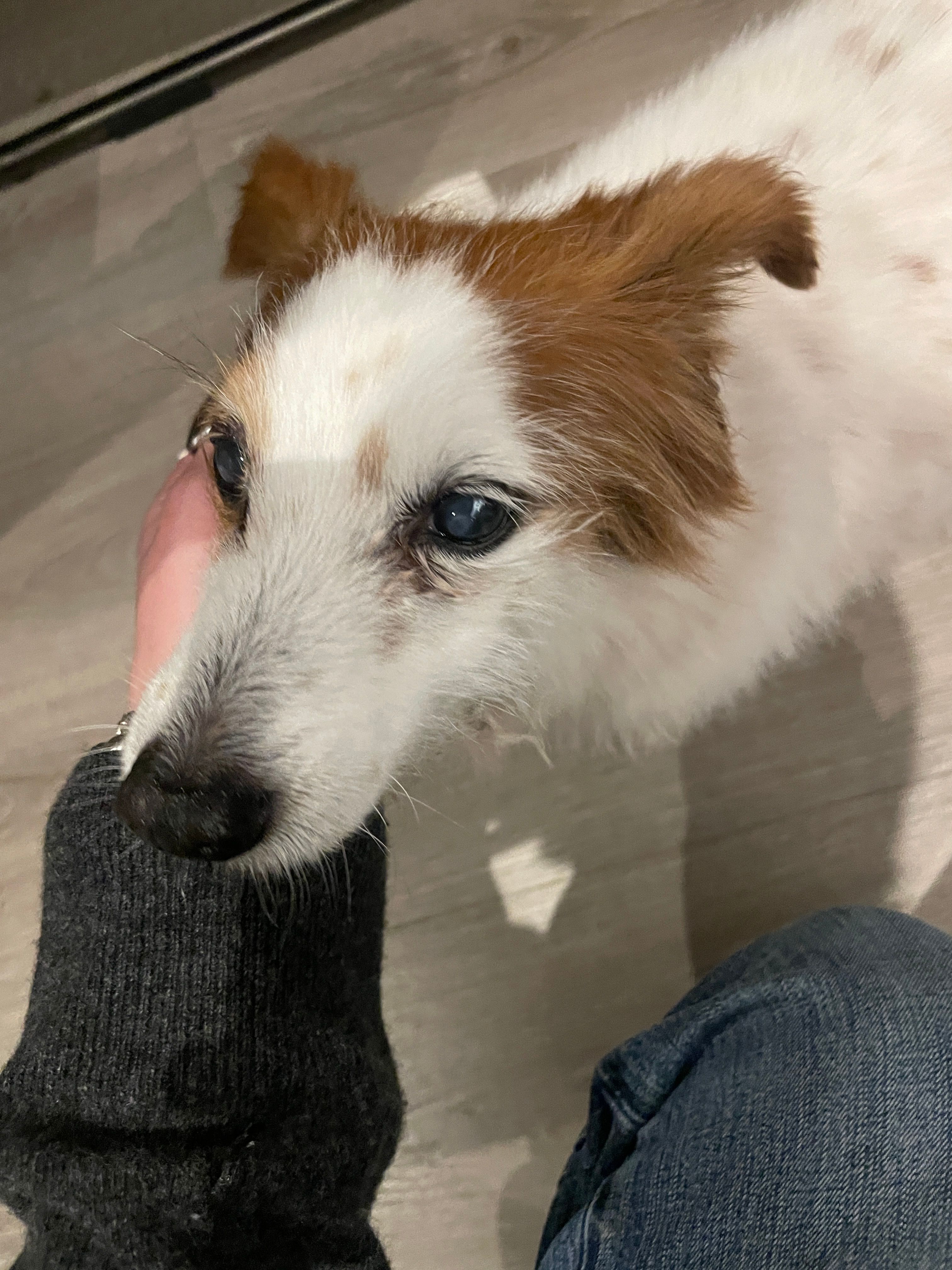 image-11