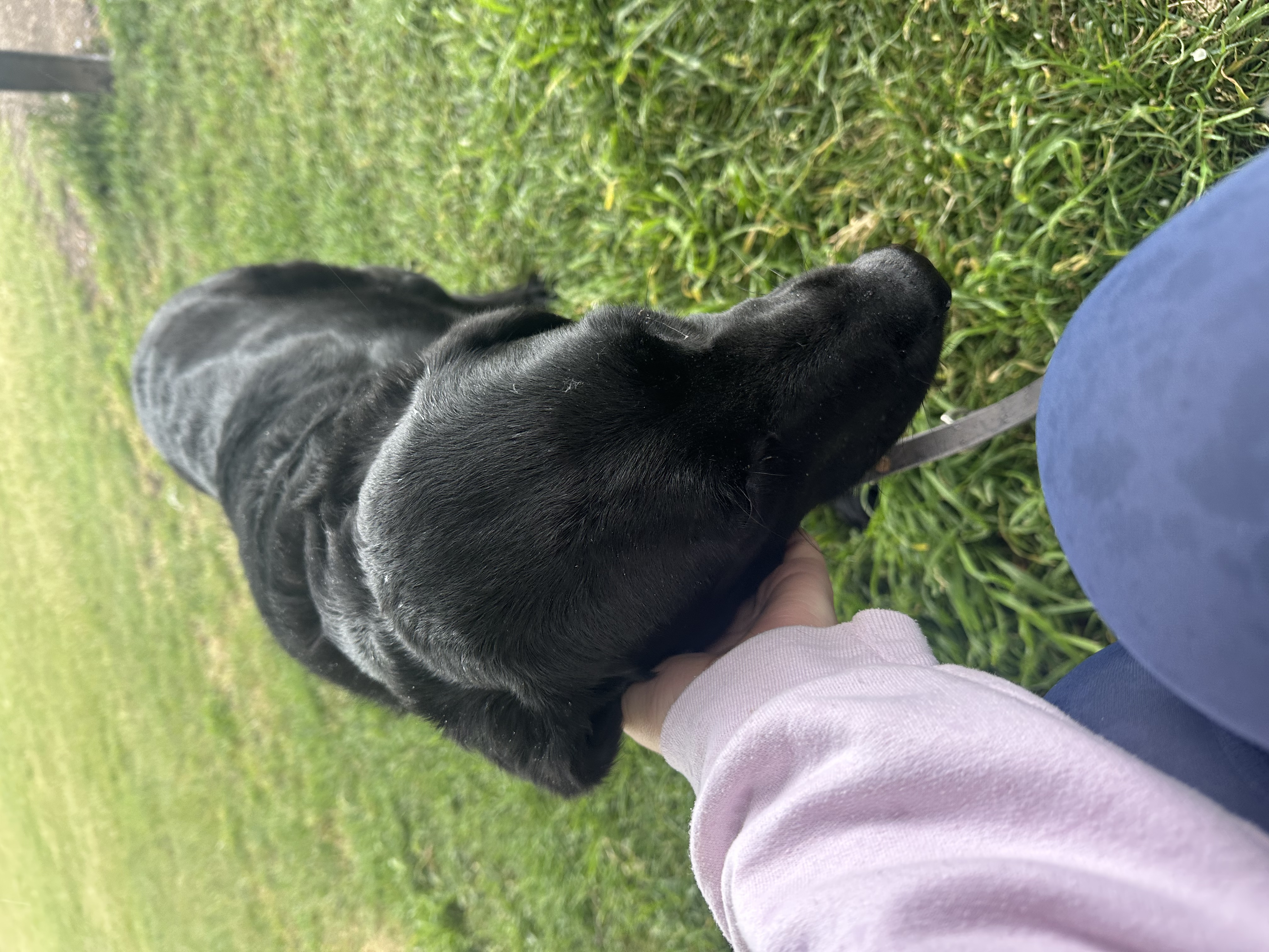 image-8