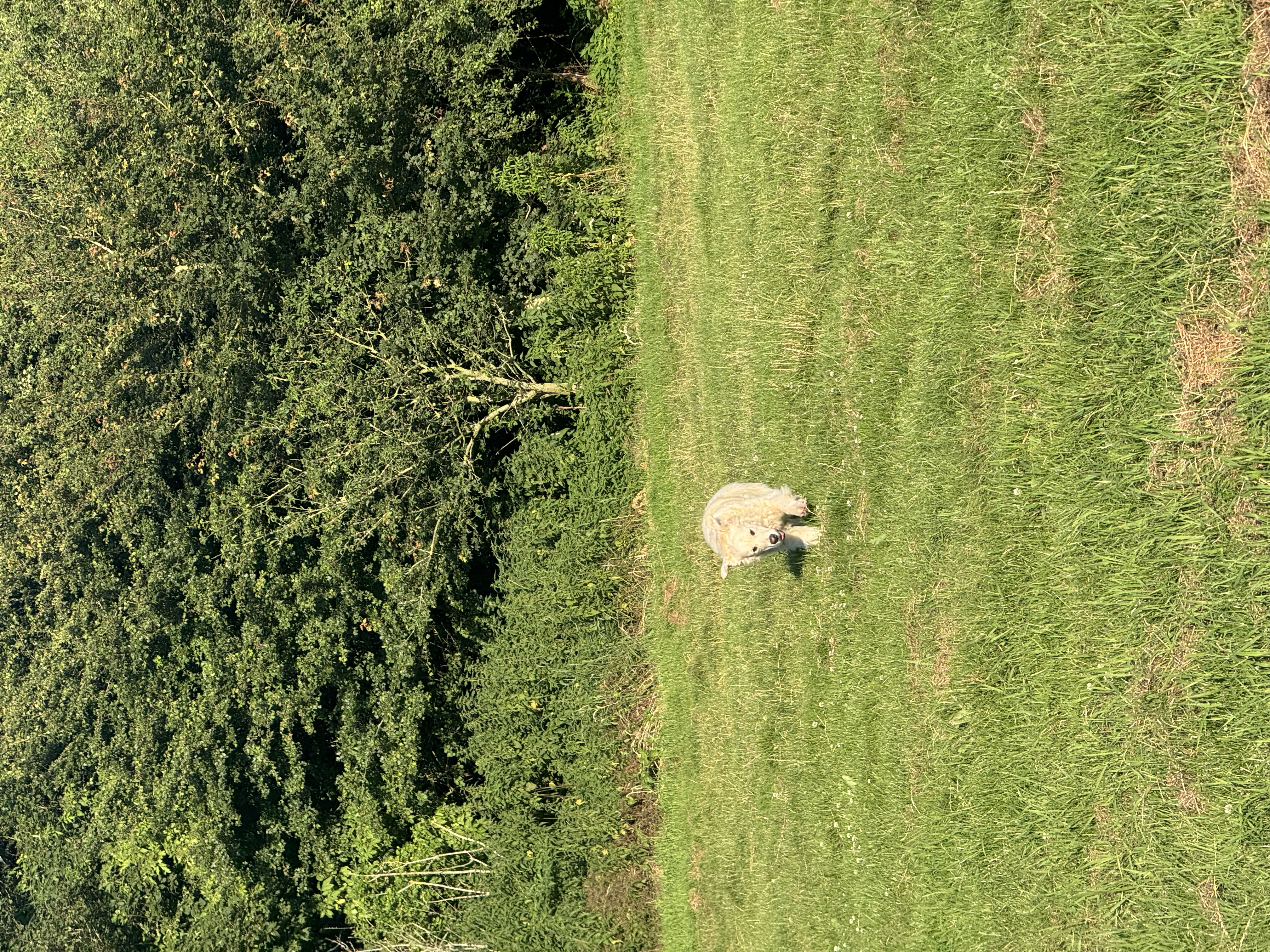 image-8