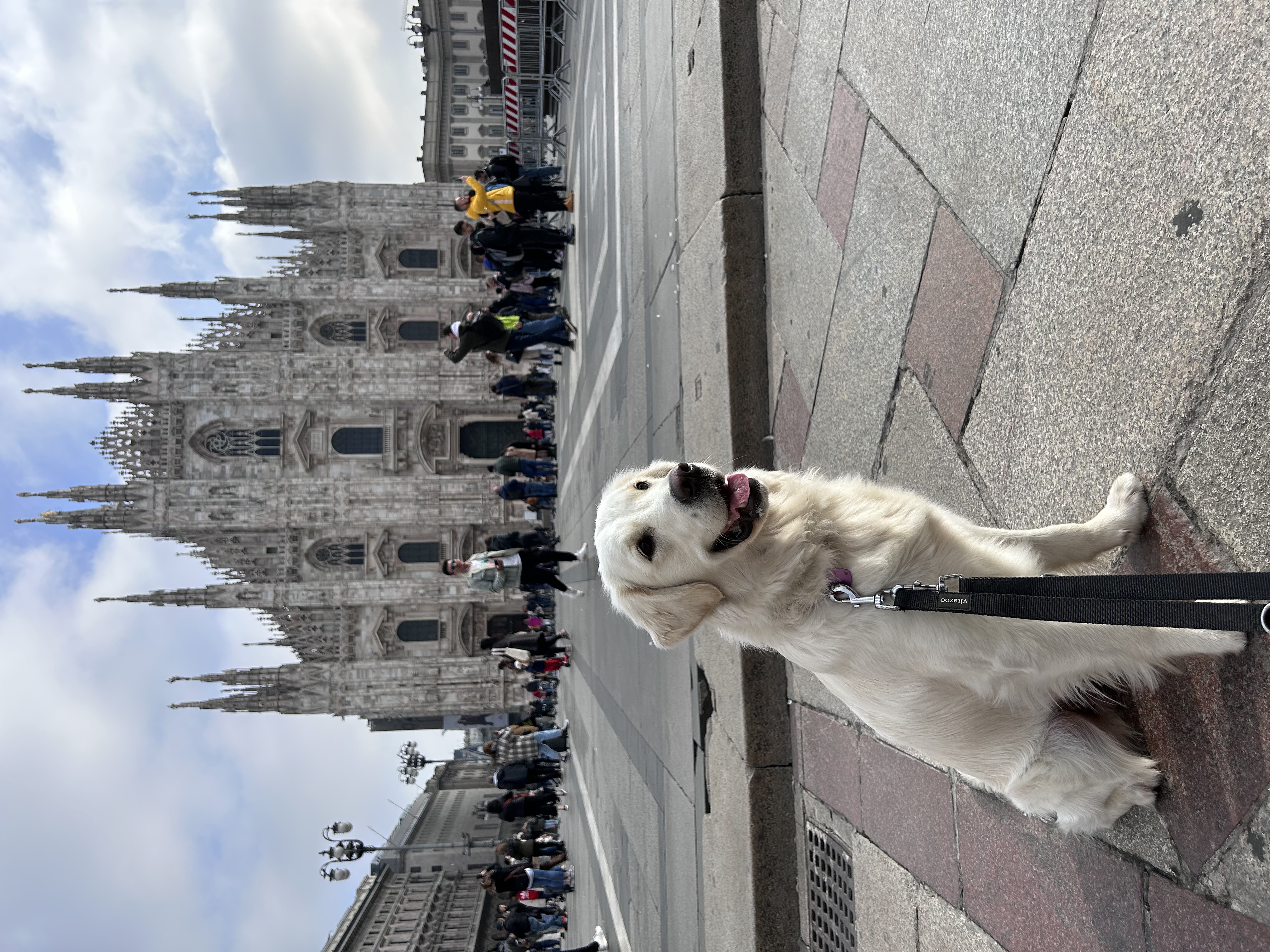 image-20