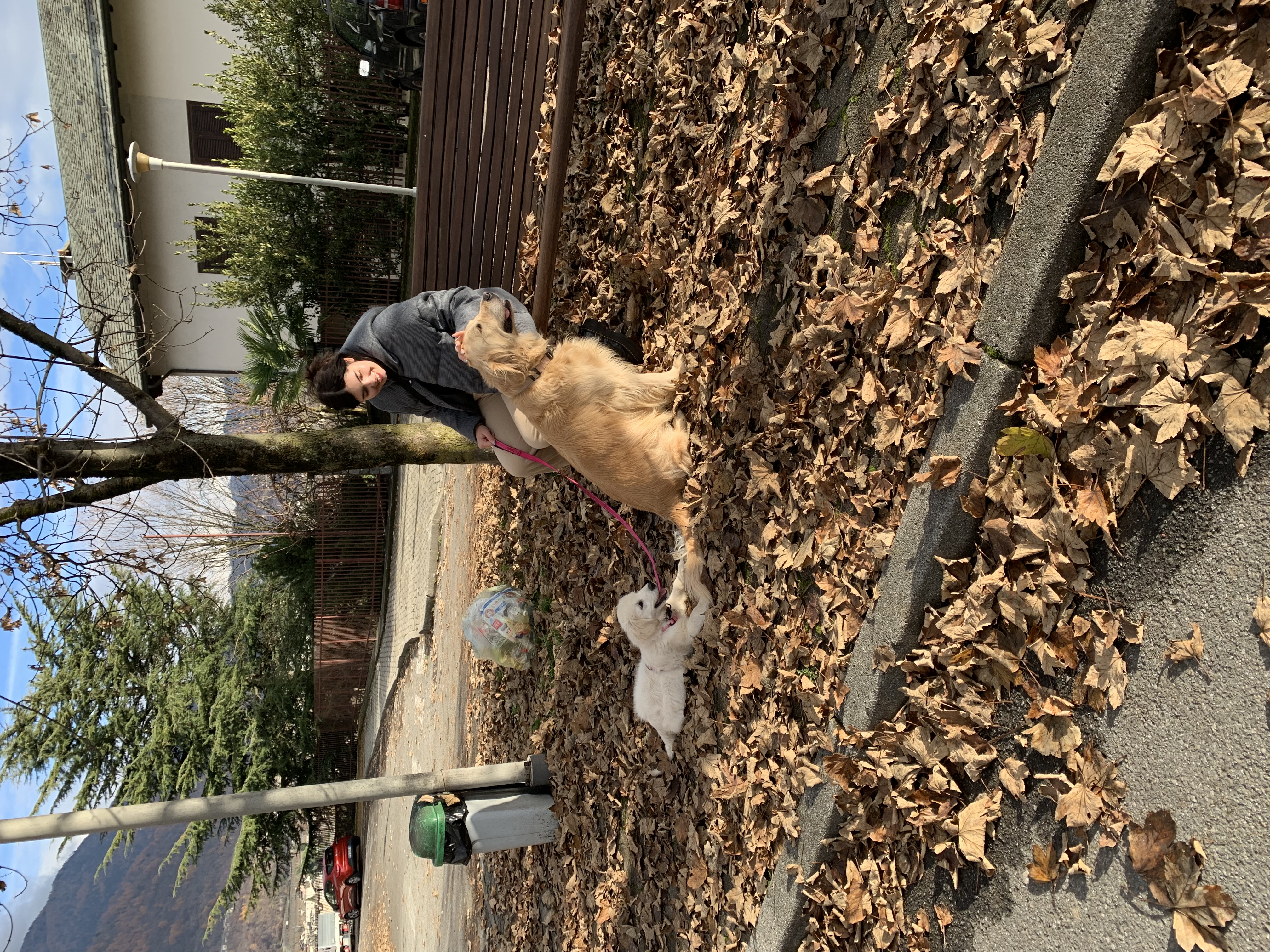 image-21