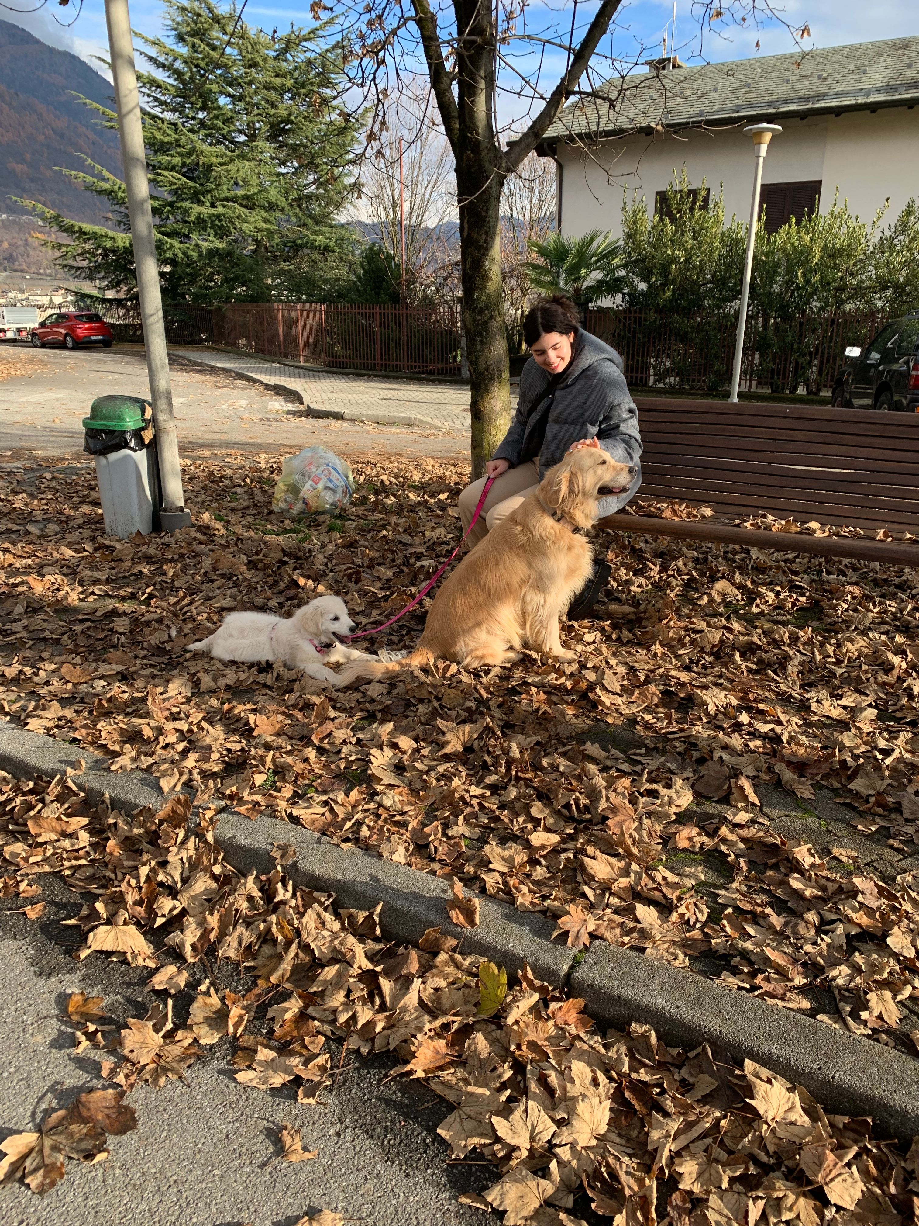 image-21
