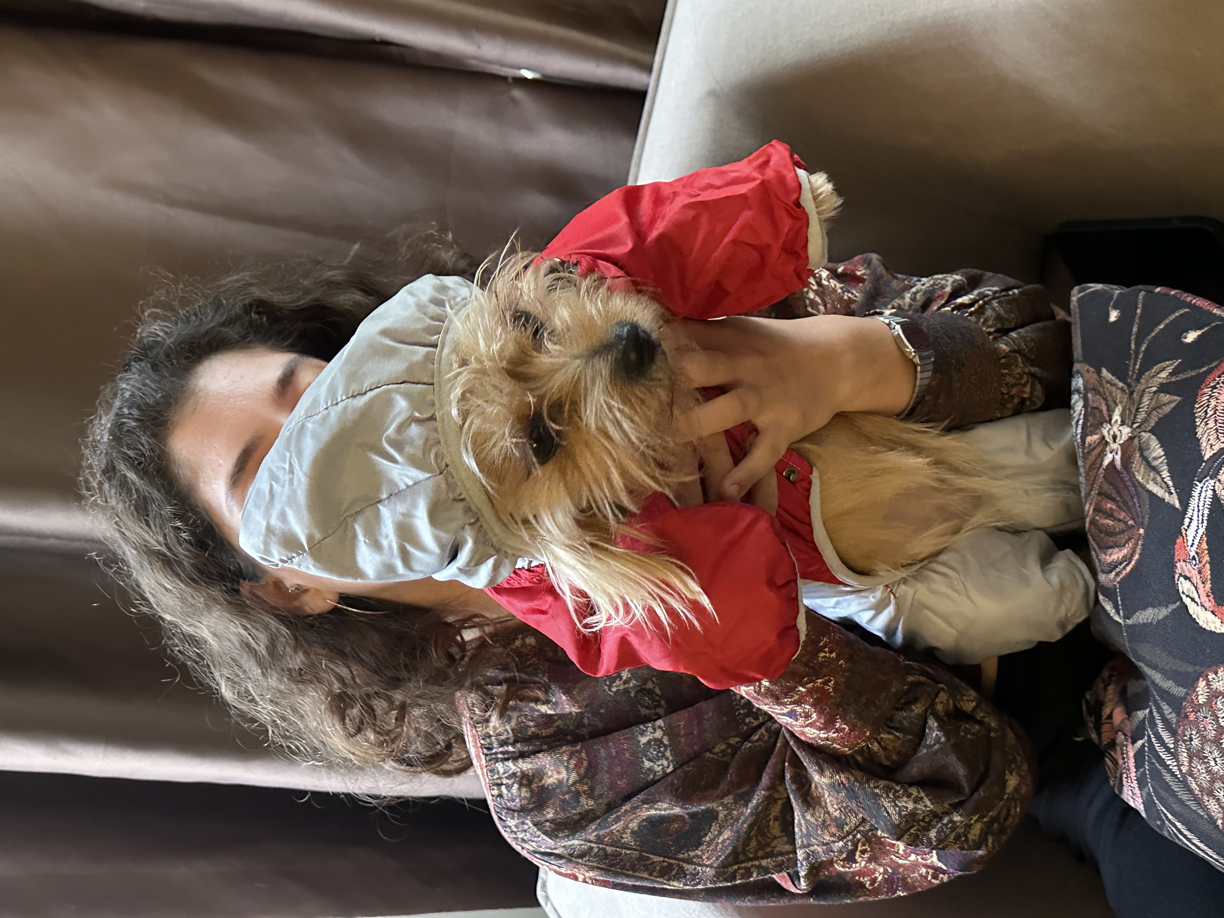 image-8