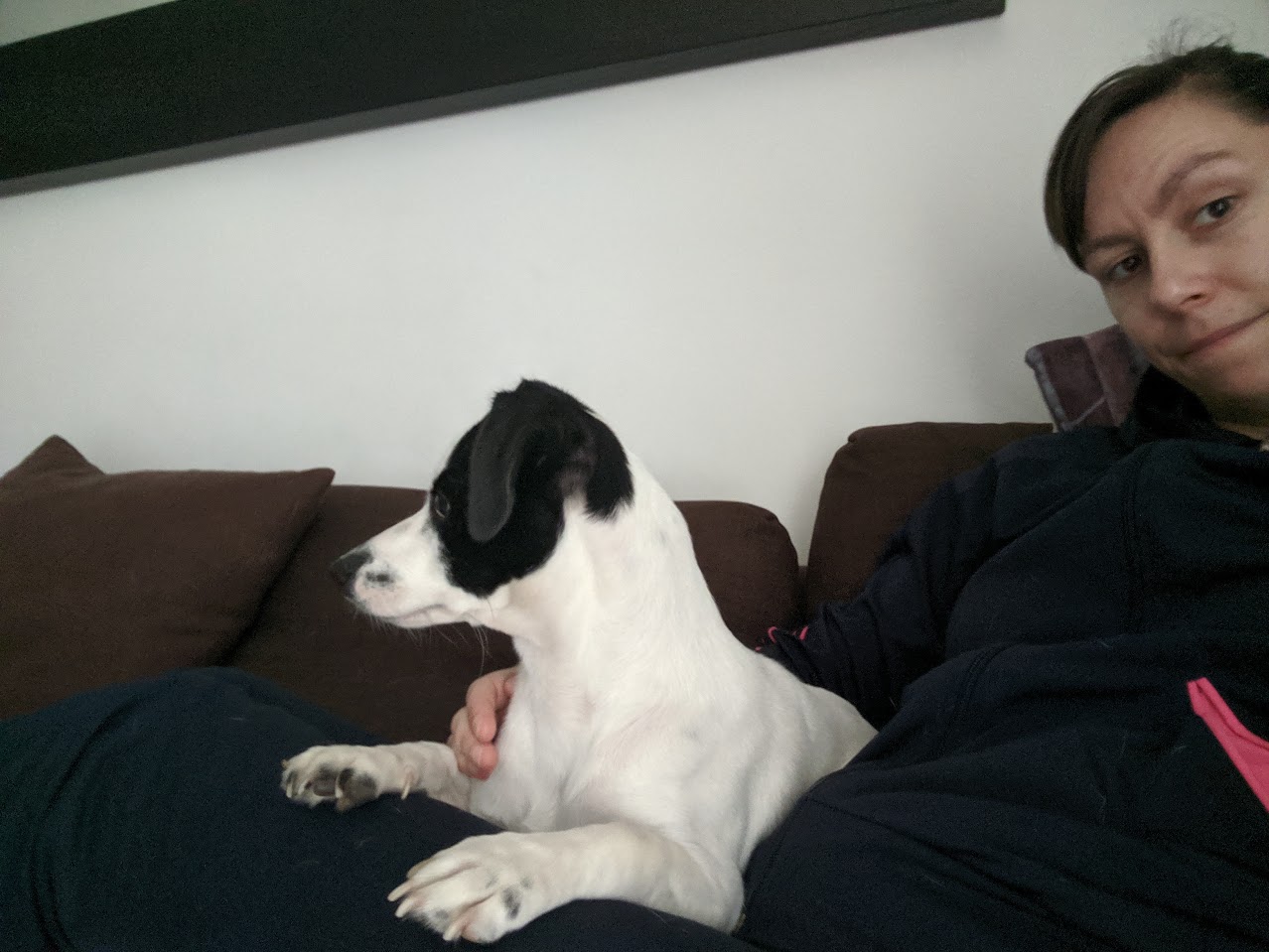 image-5