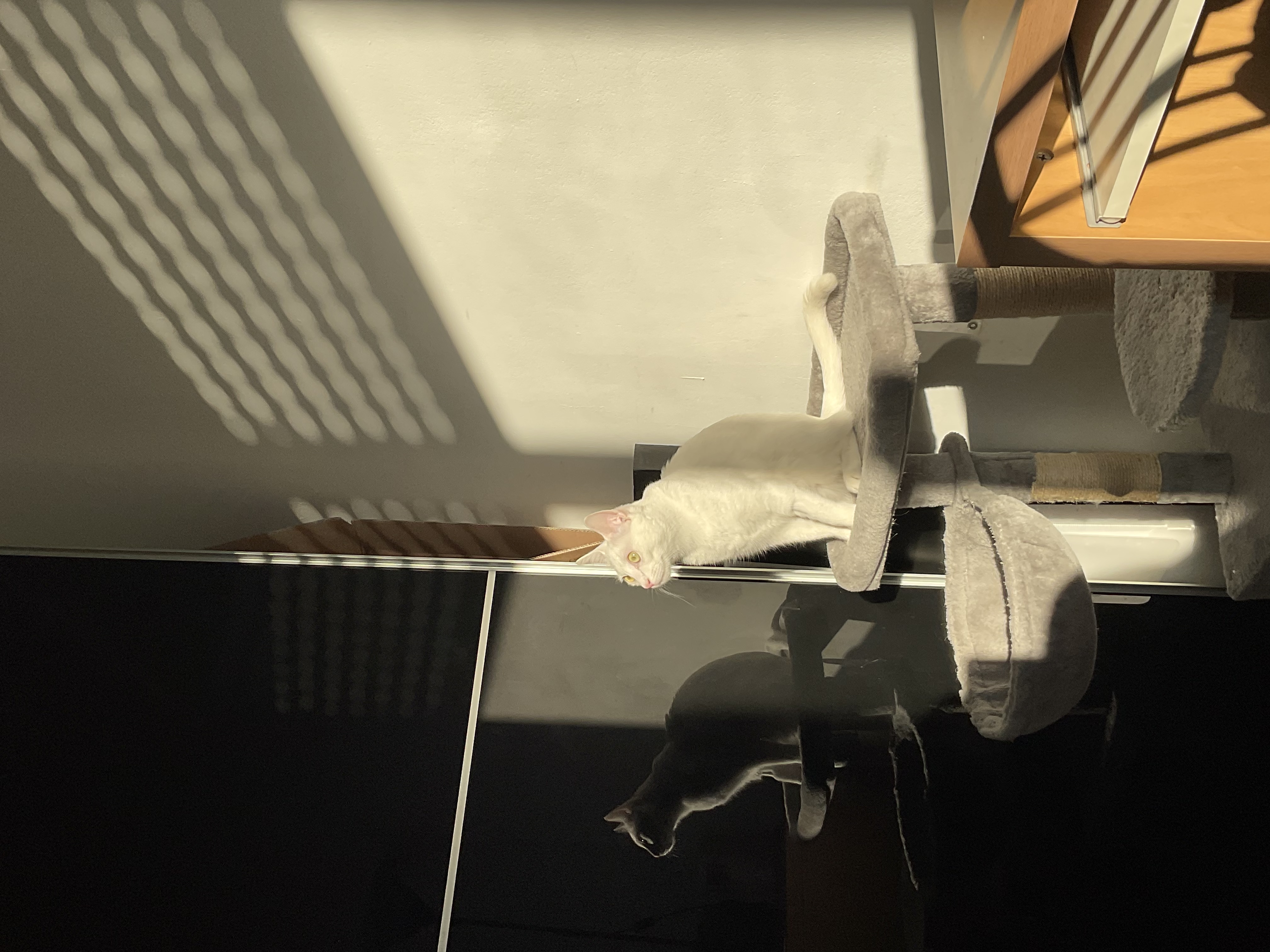 image-9