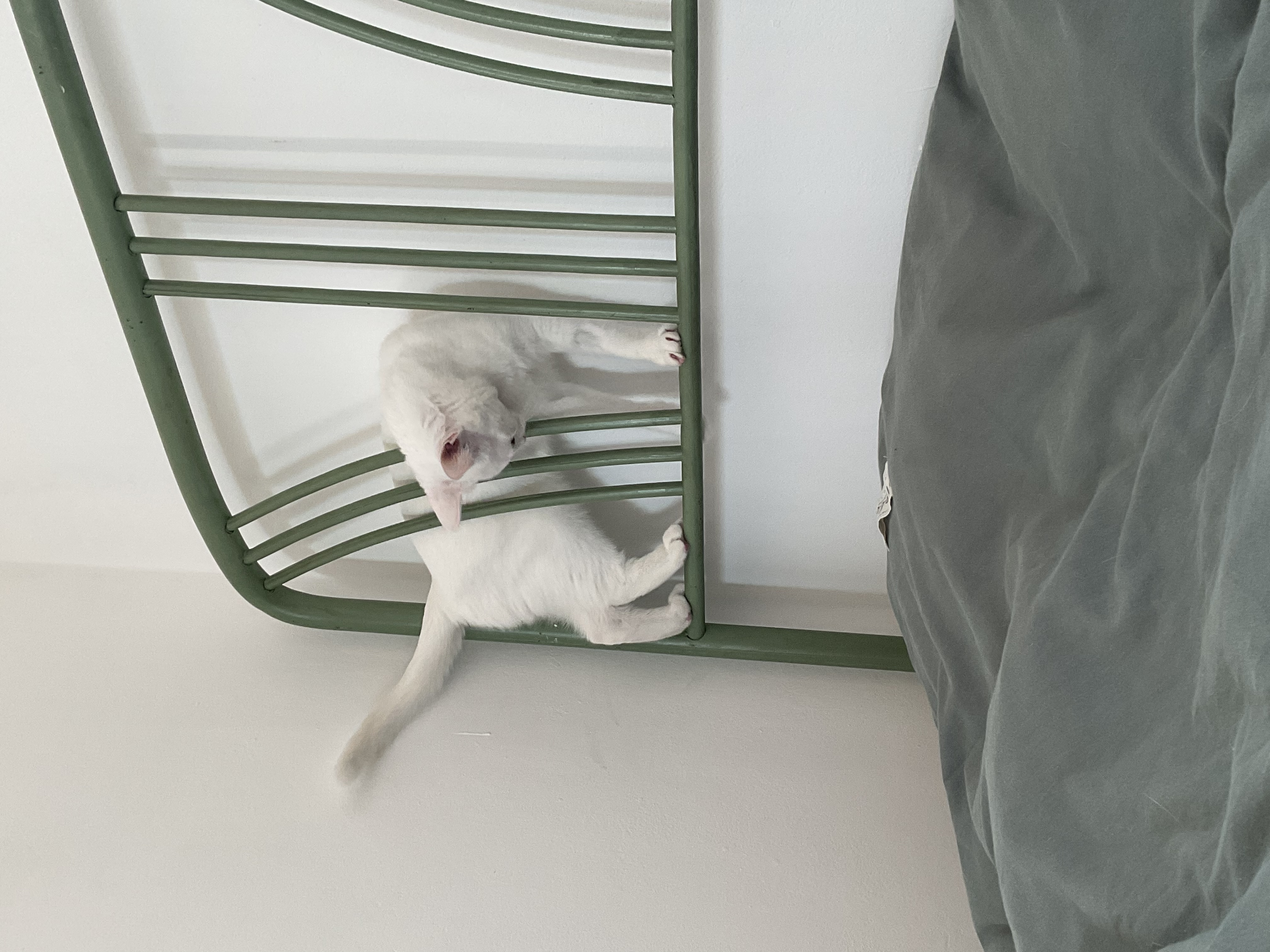 image-8