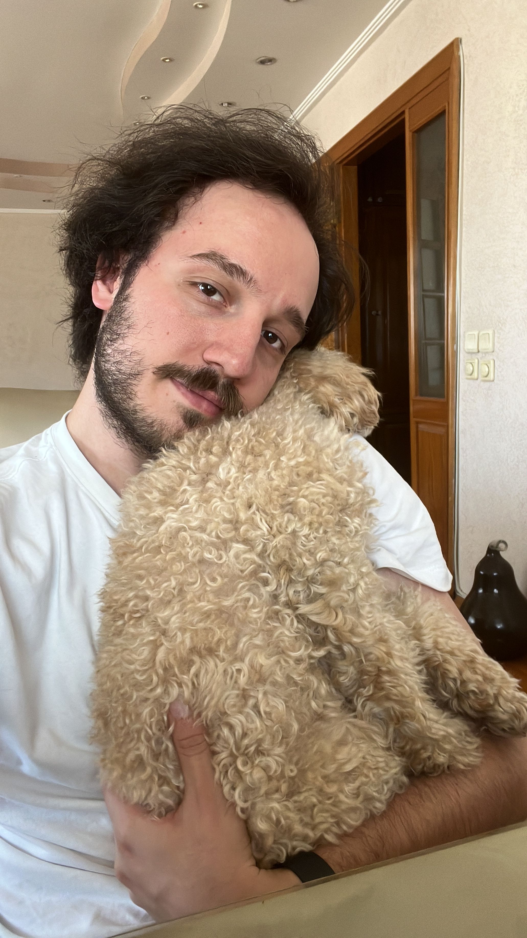 image-8