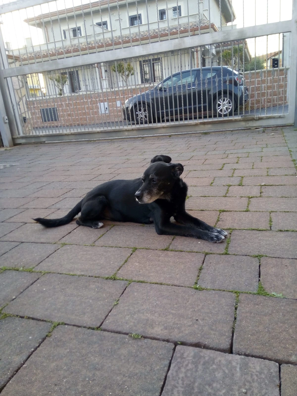 image-6