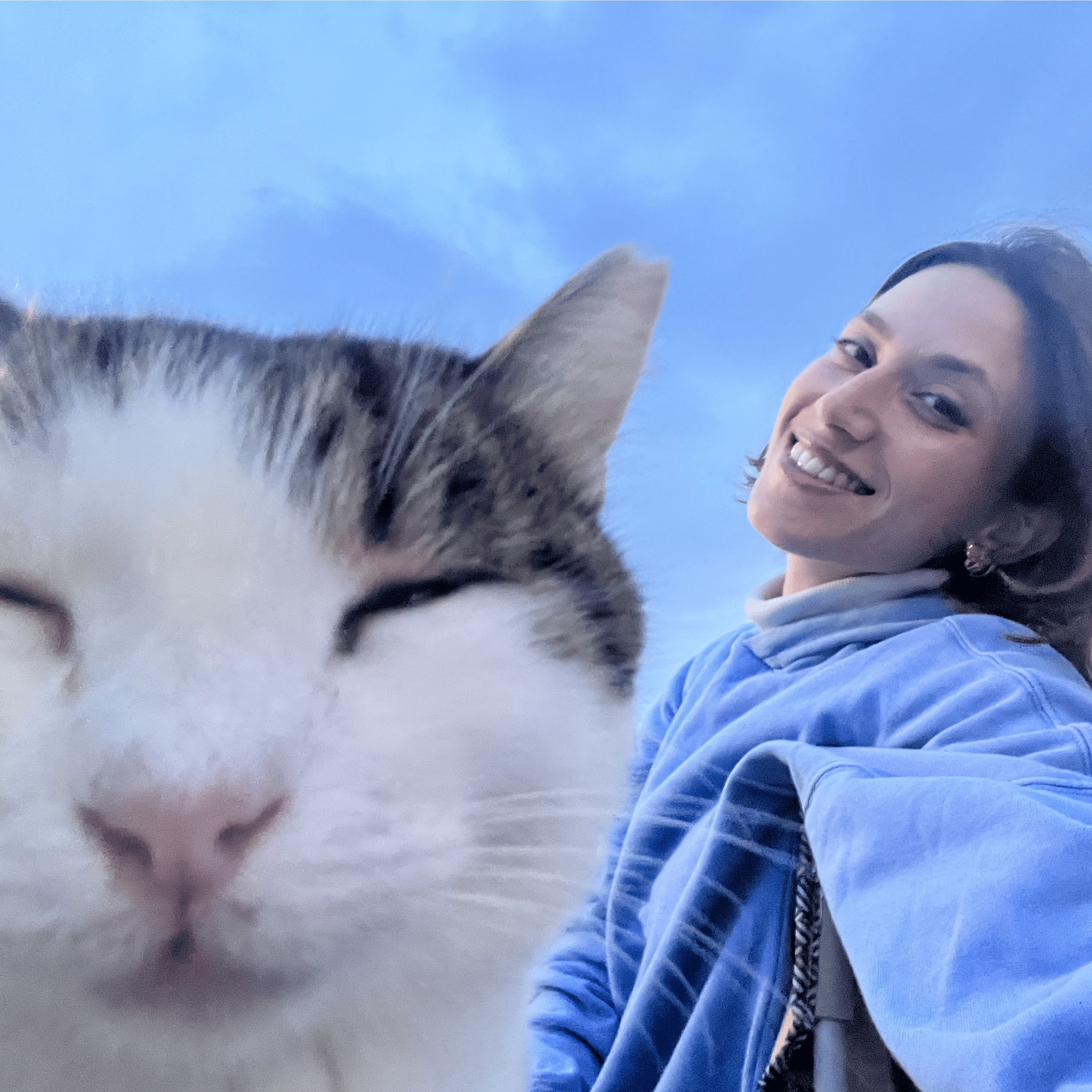 Hazal