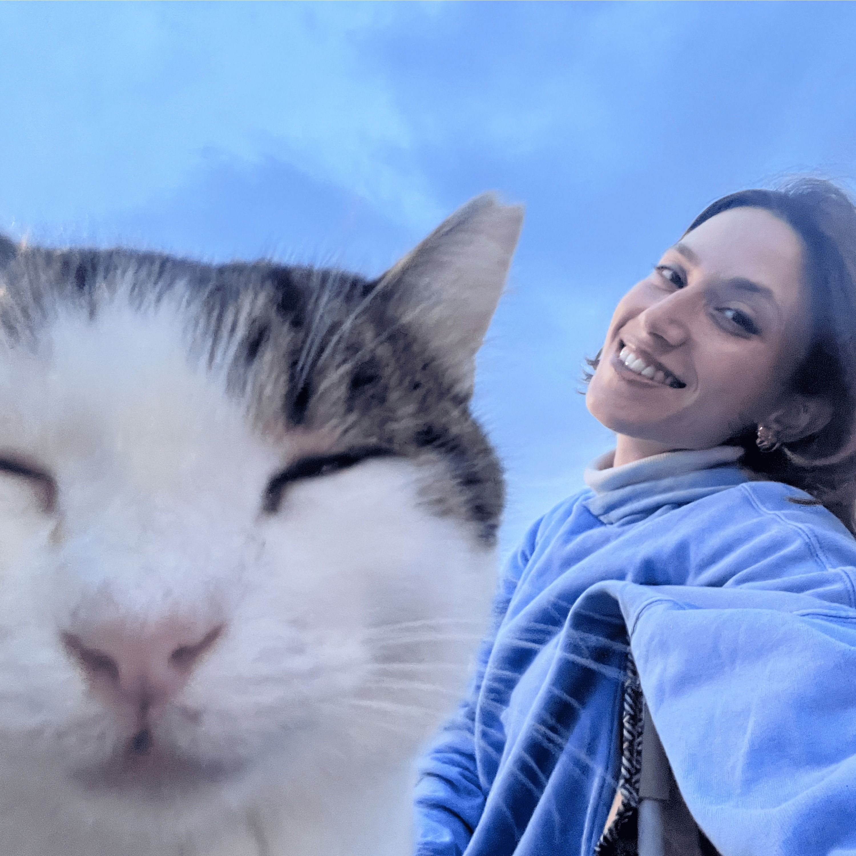 Hazal