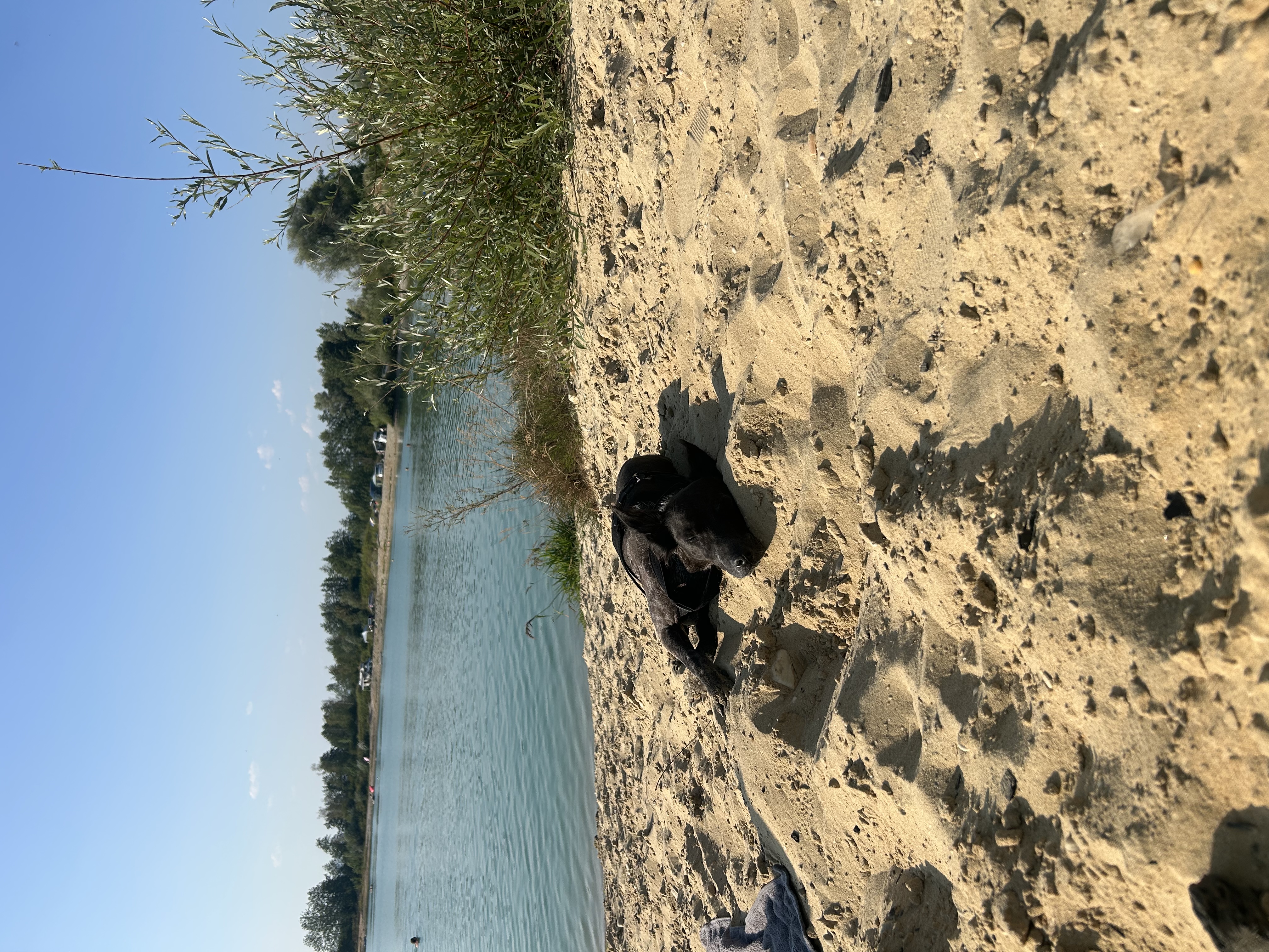 image-14