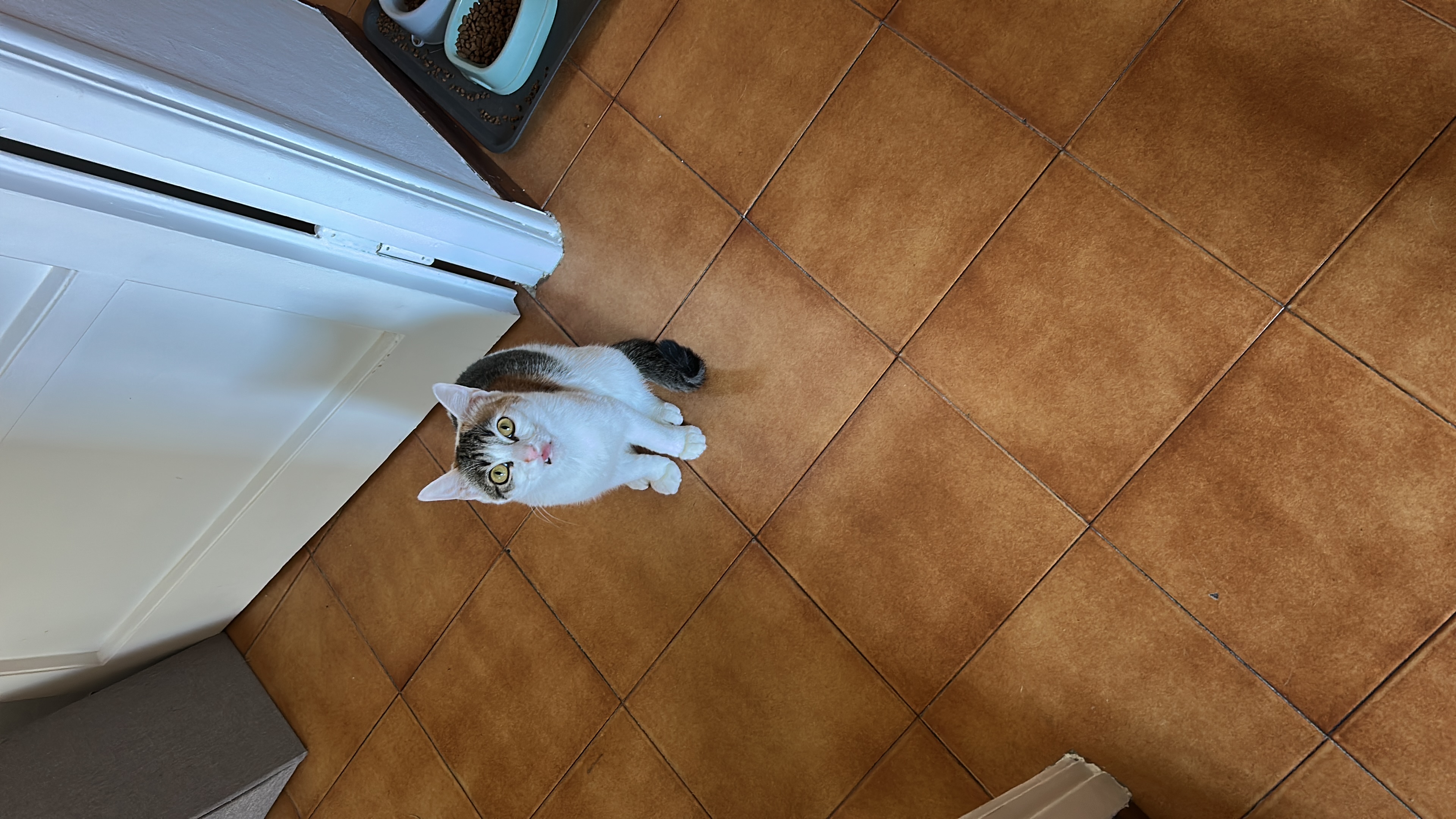 image-17