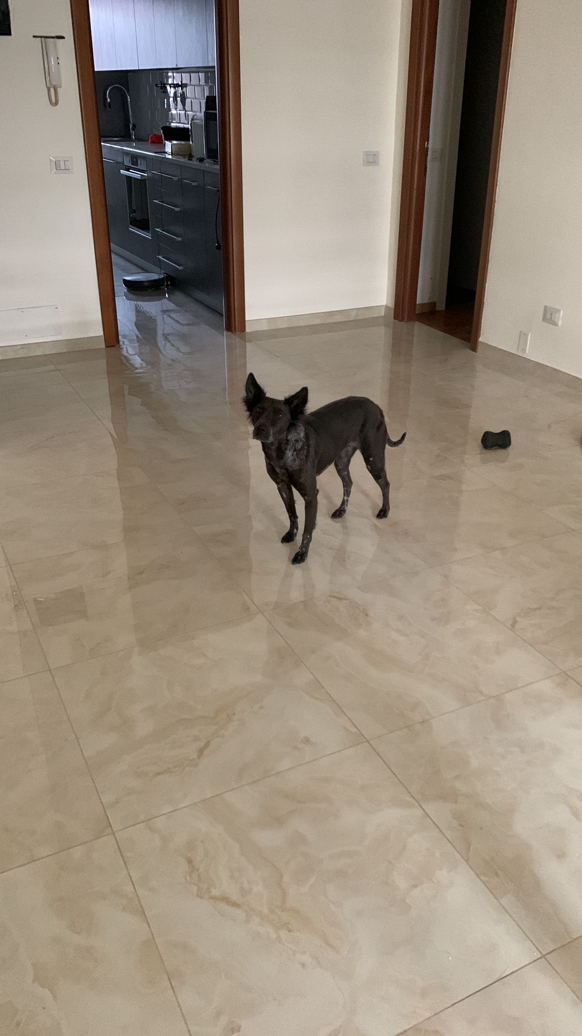 image-19