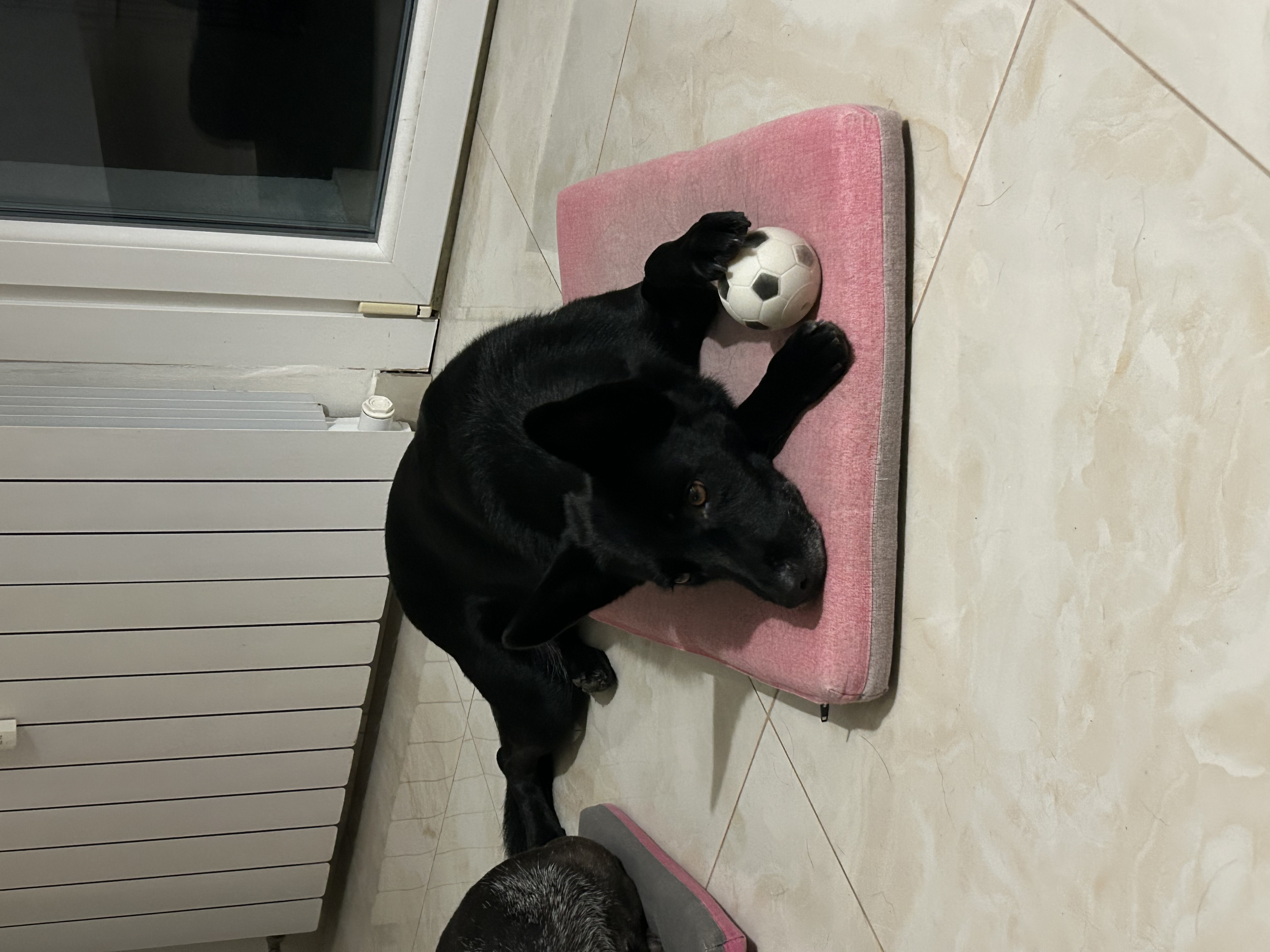 image-25