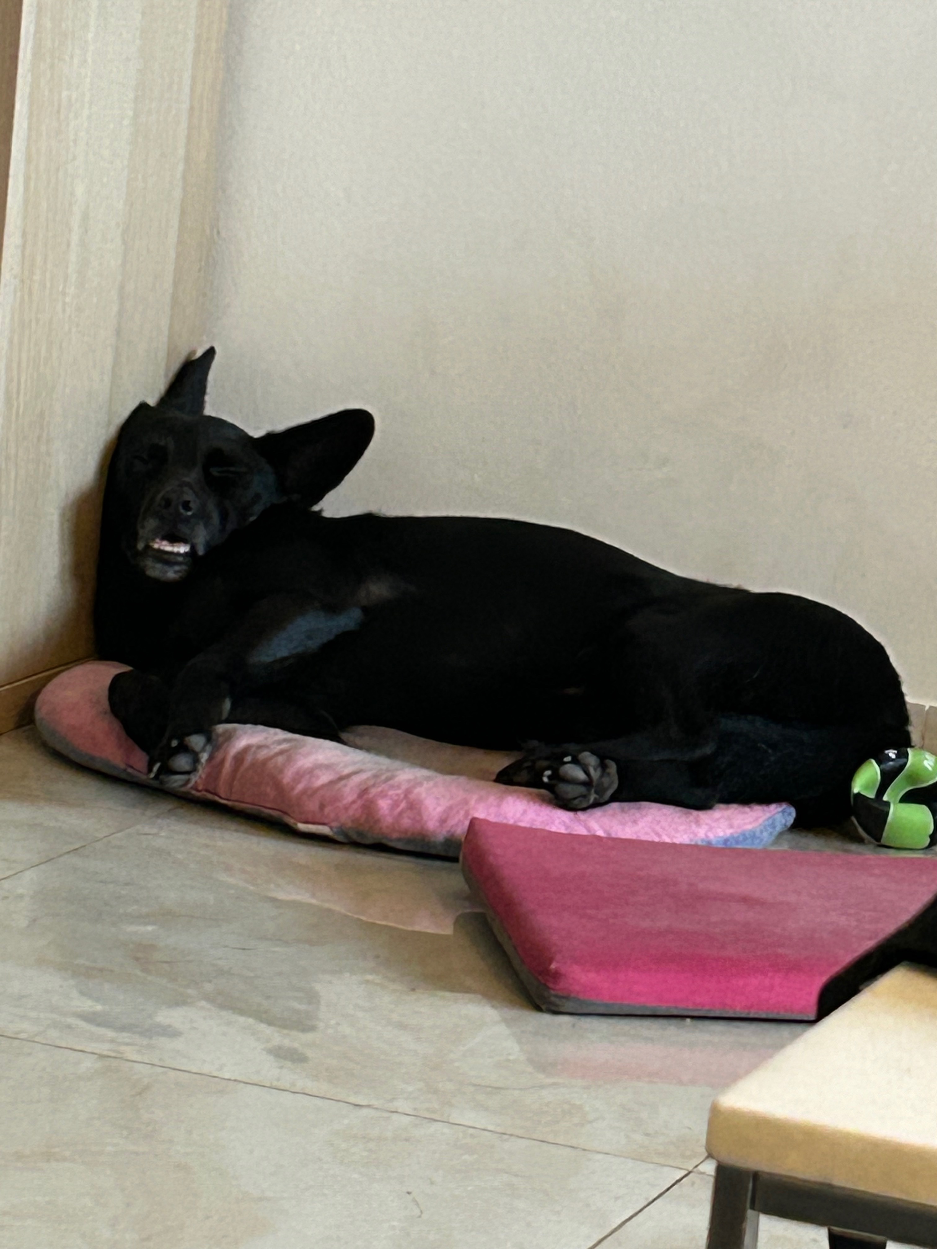image-7