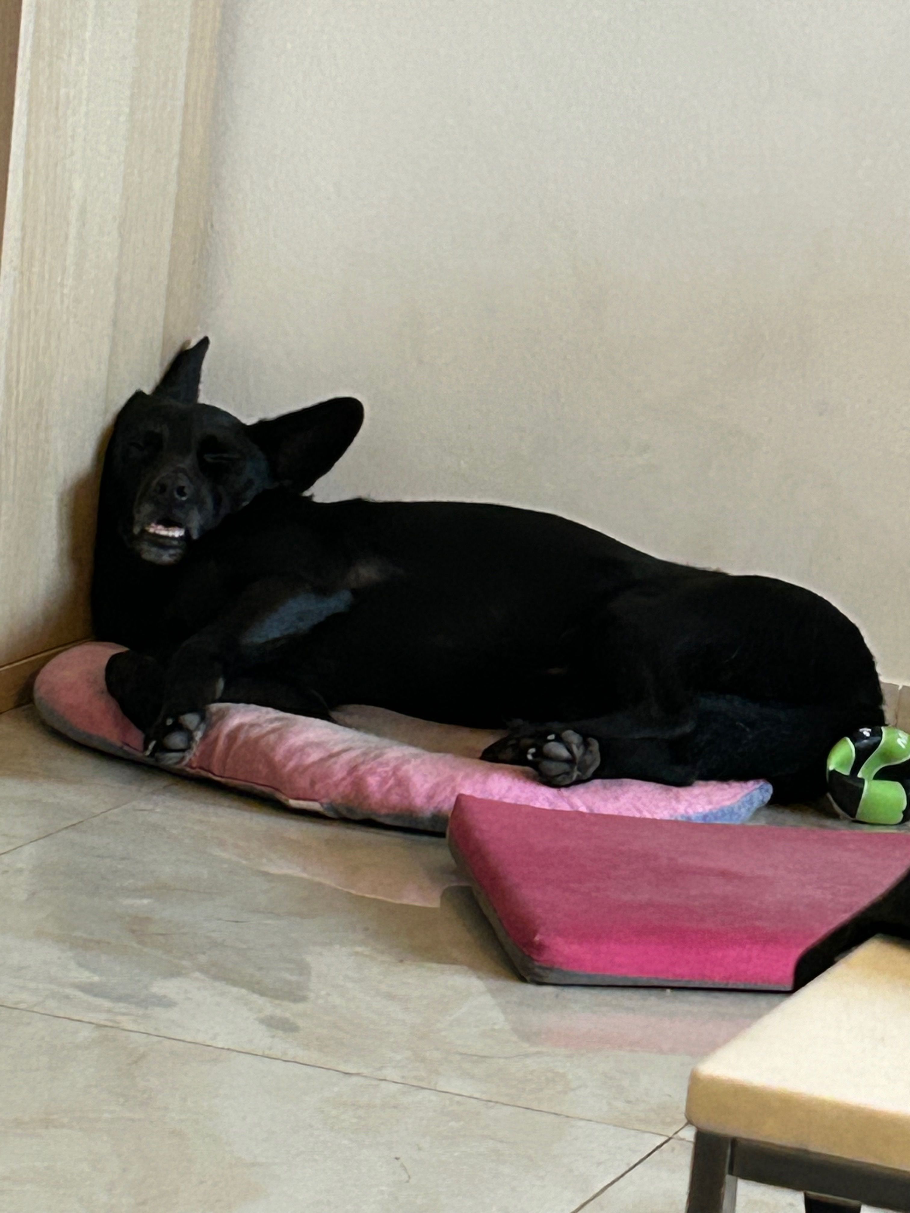 image-7