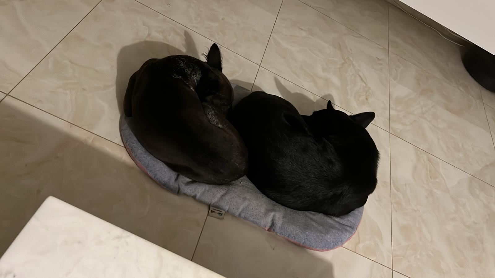 image-24
