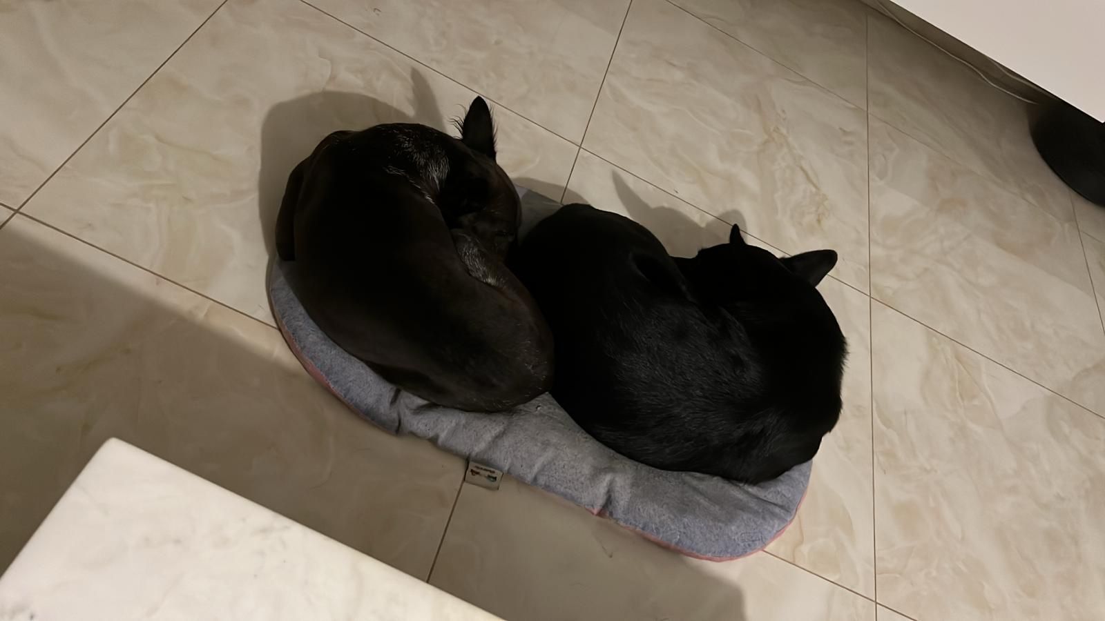 image-24