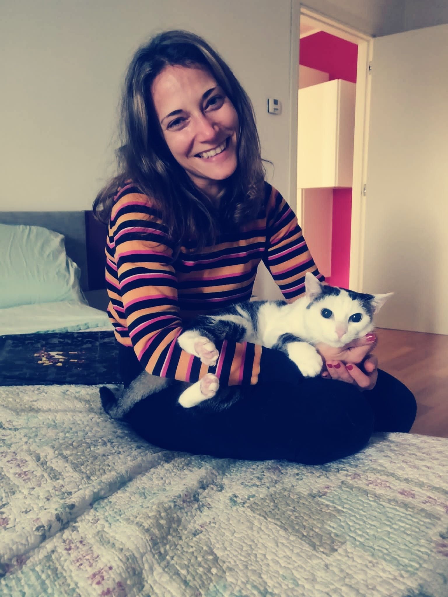 image-4