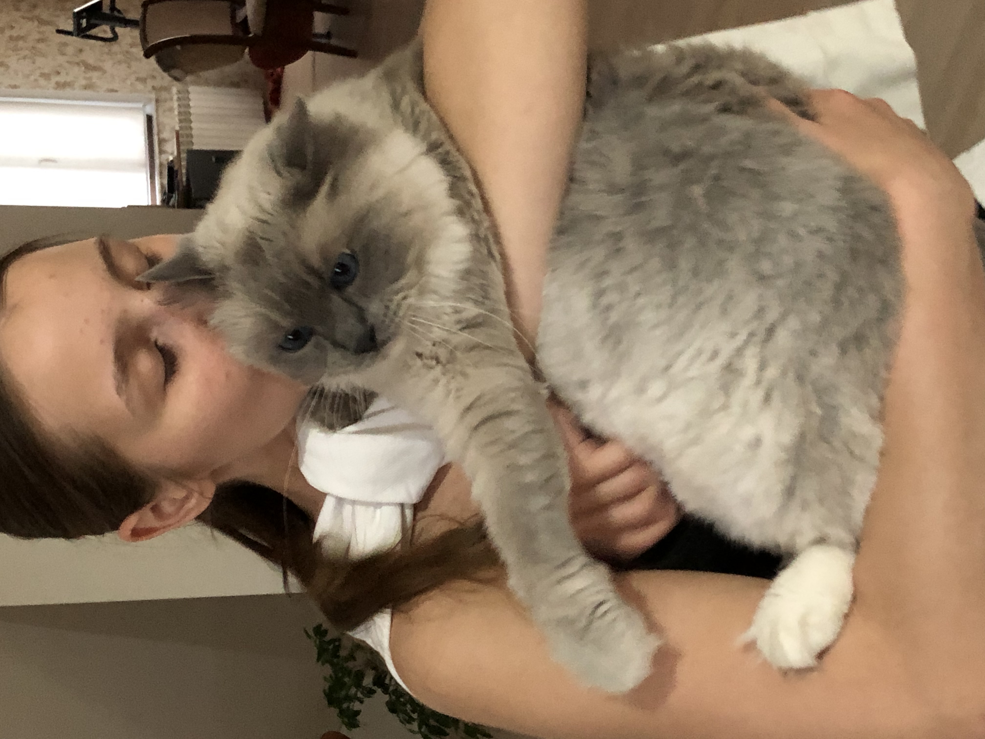 image-4