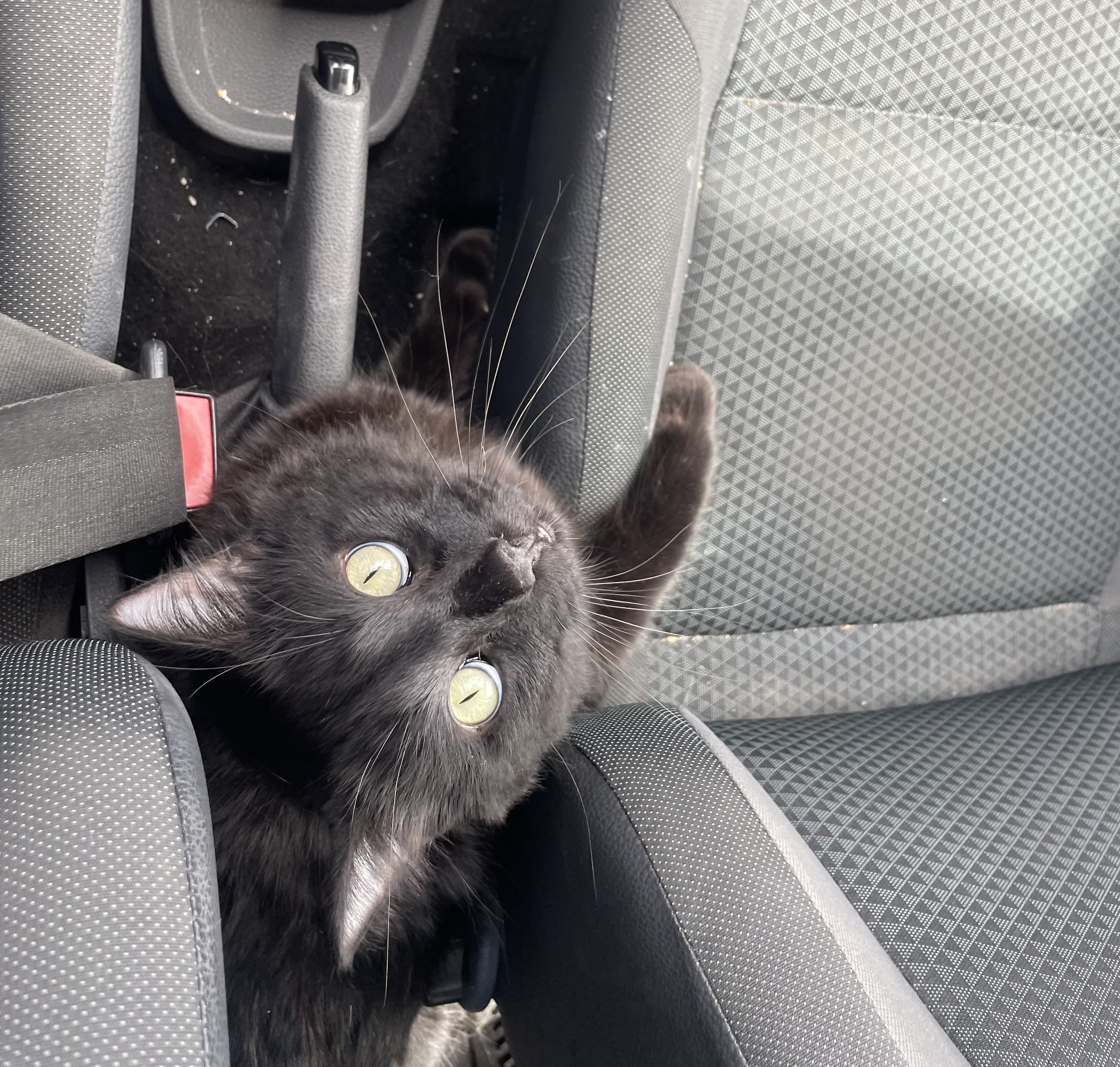 image-9