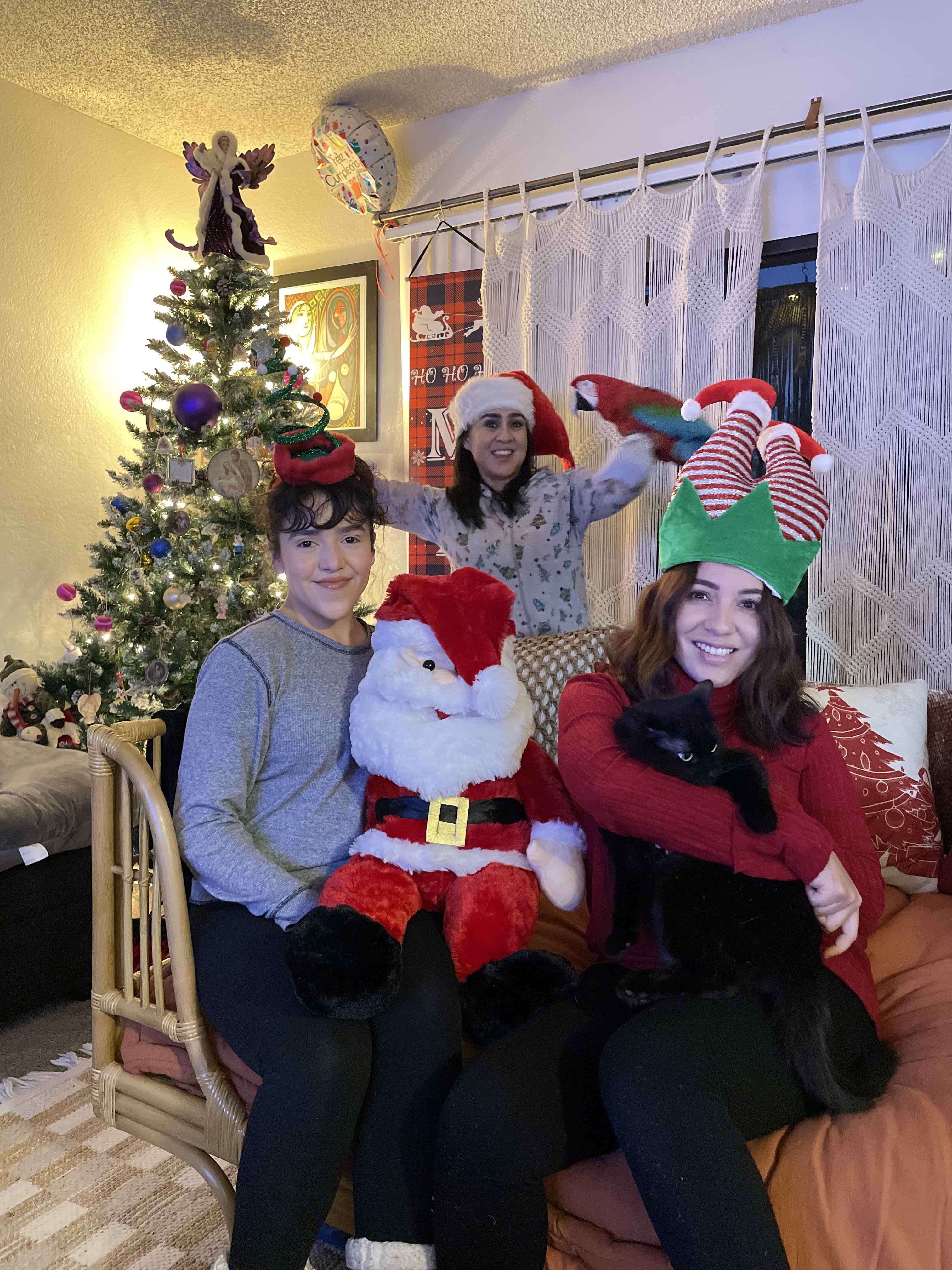 image-12