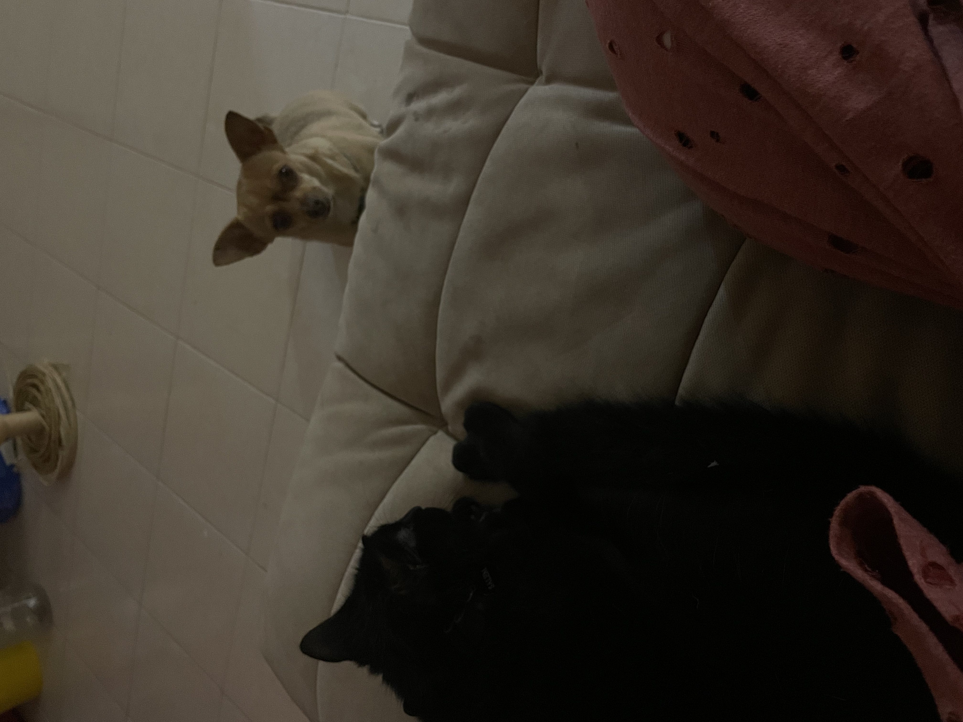 image-35