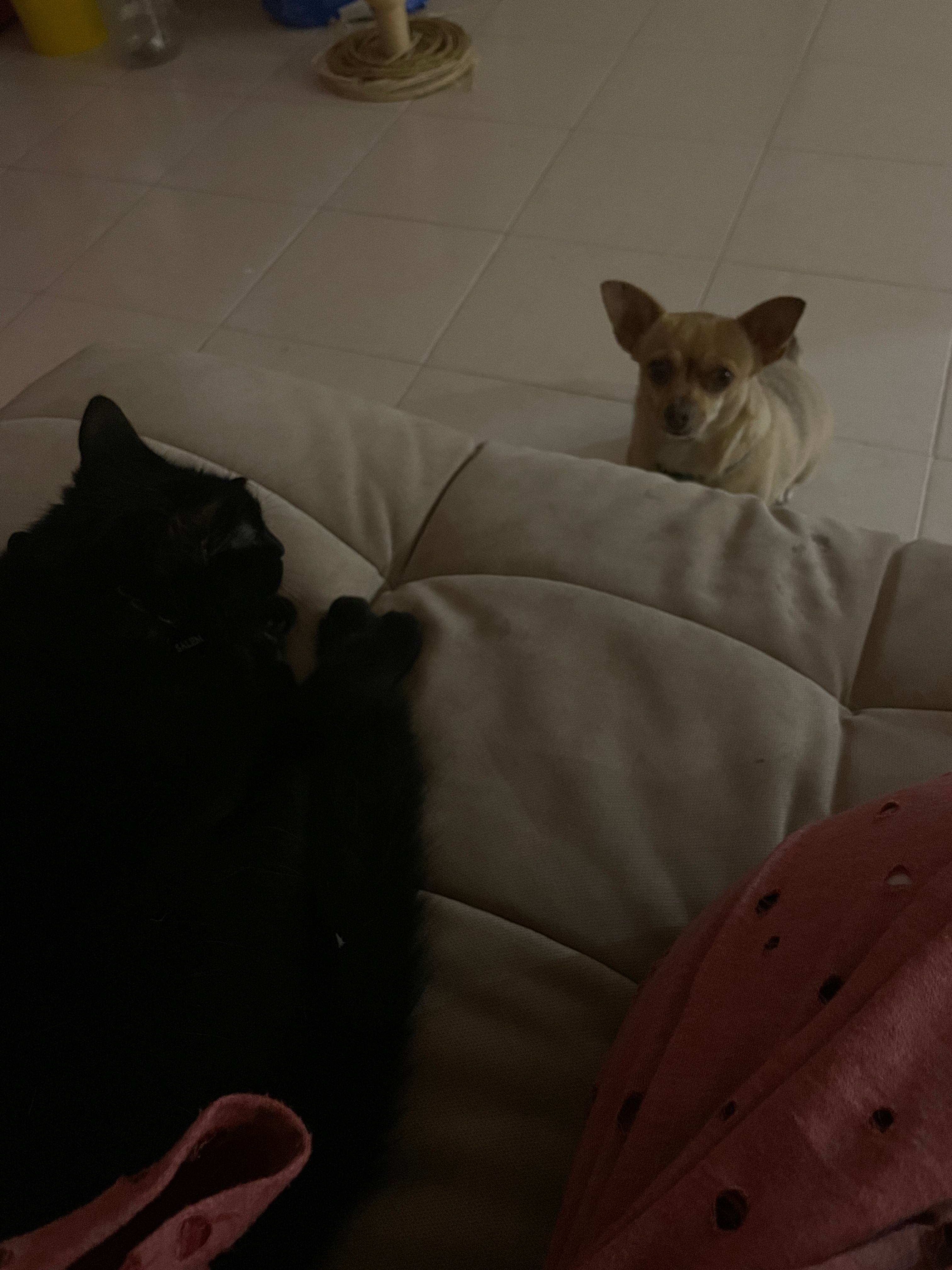 image-35