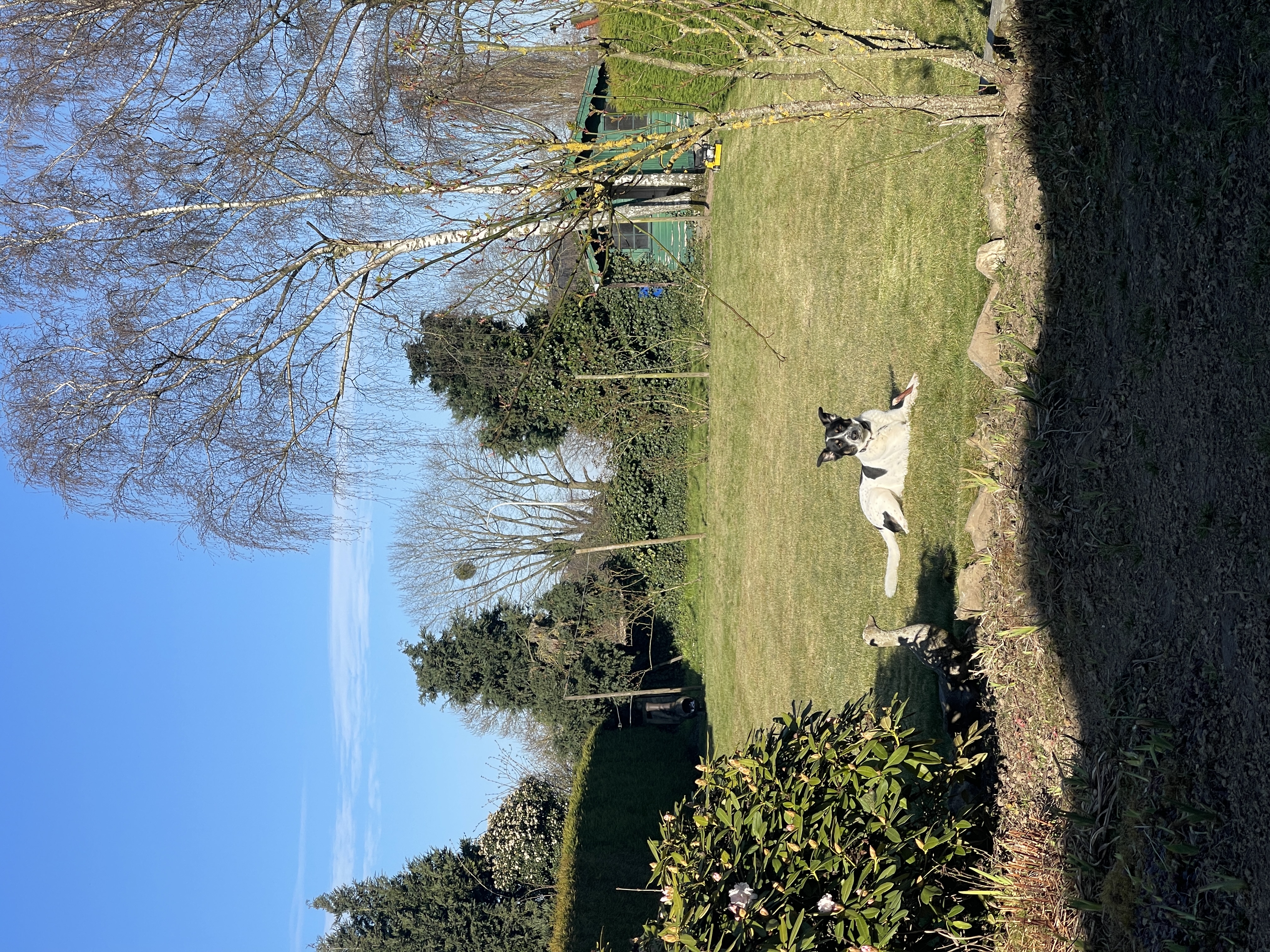 image-28