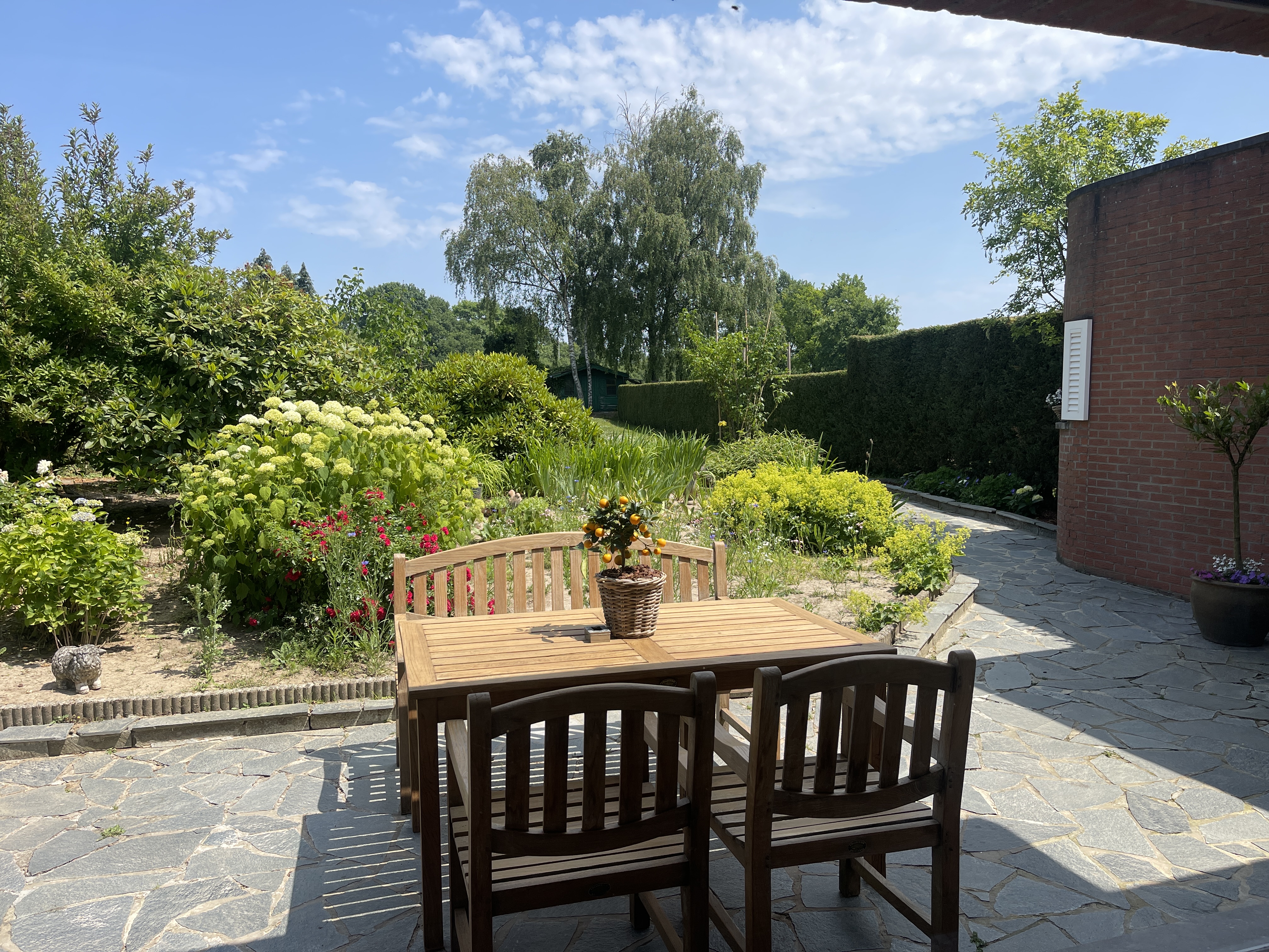 image-26