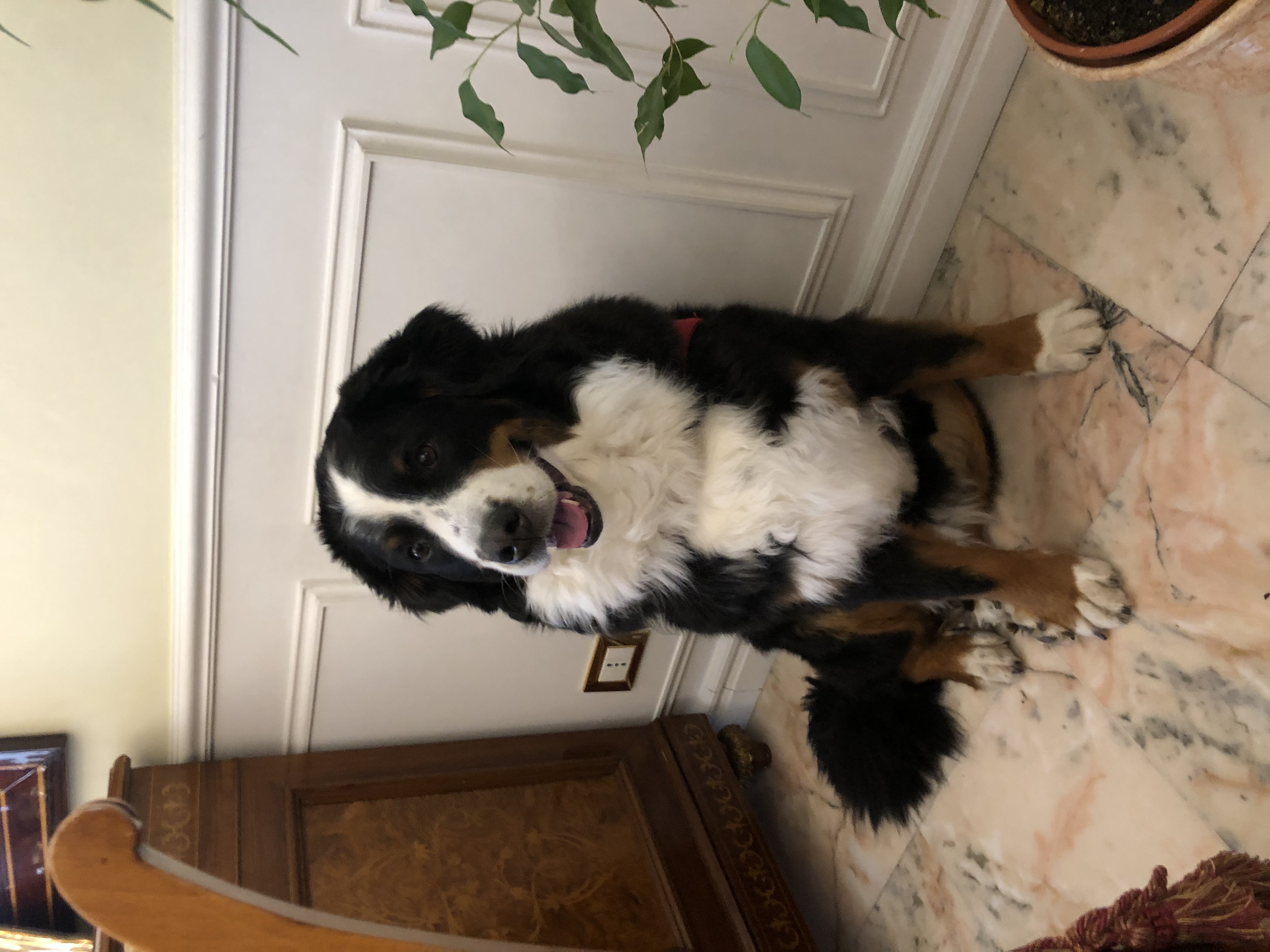 image-13