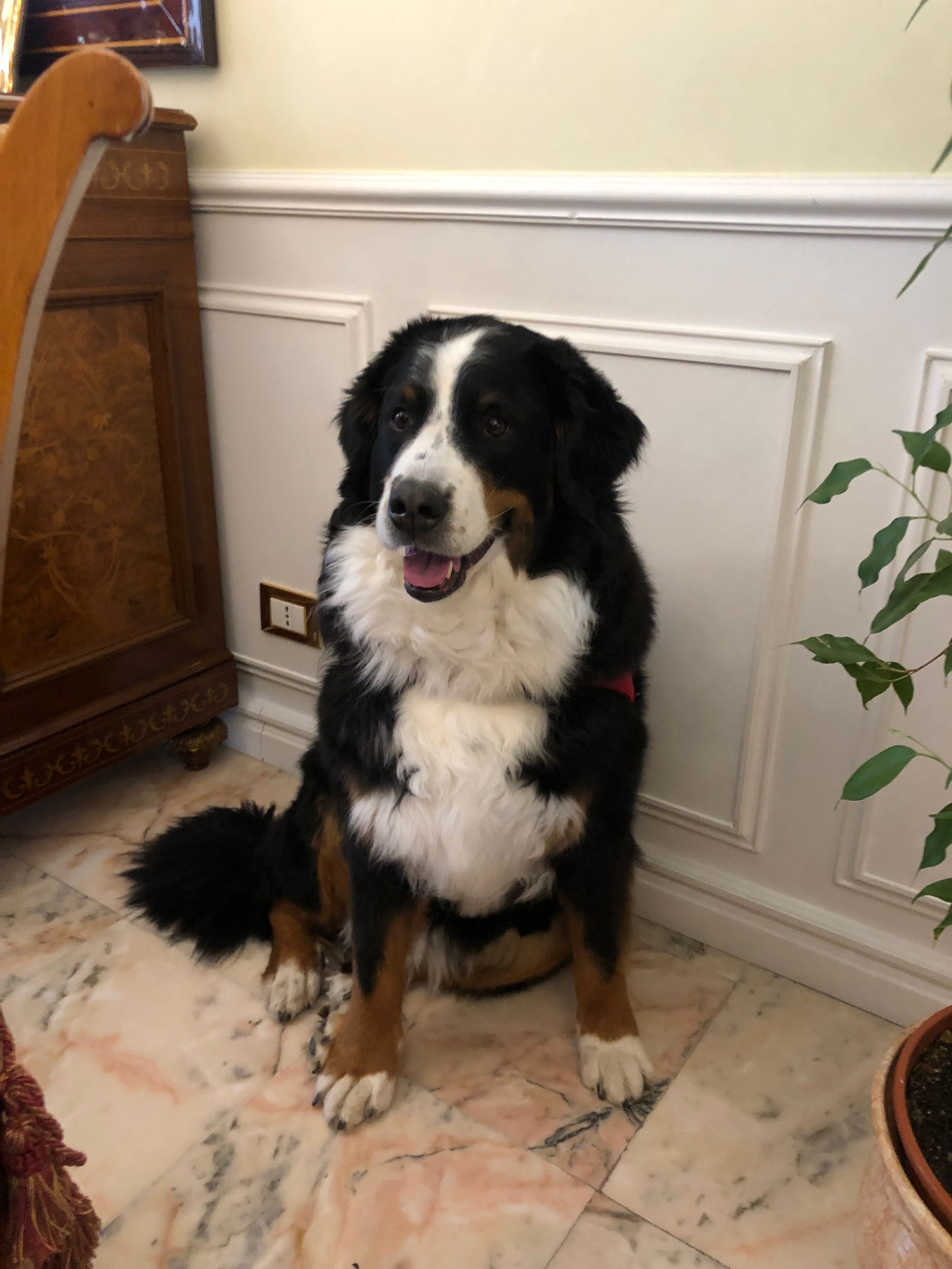 image-13