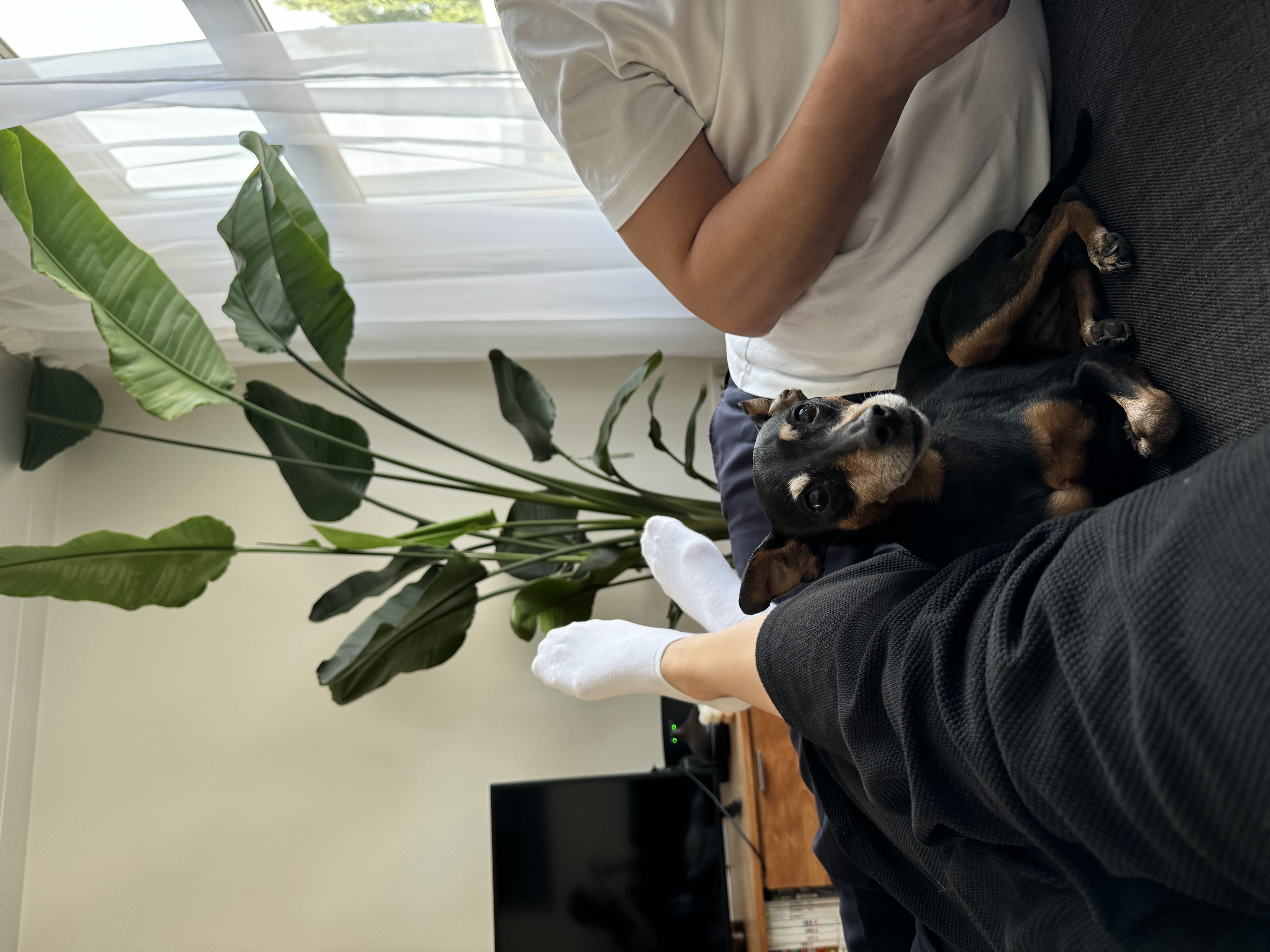 image-8